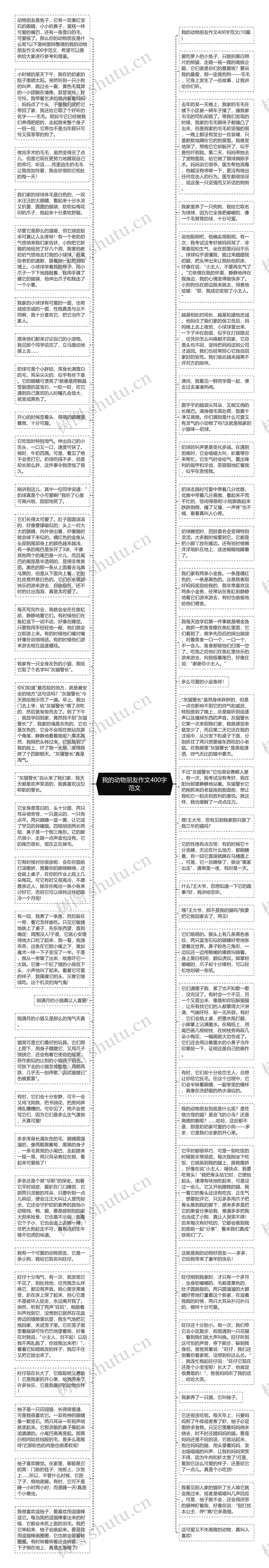 我的动物朋友作文400字范文思维导图