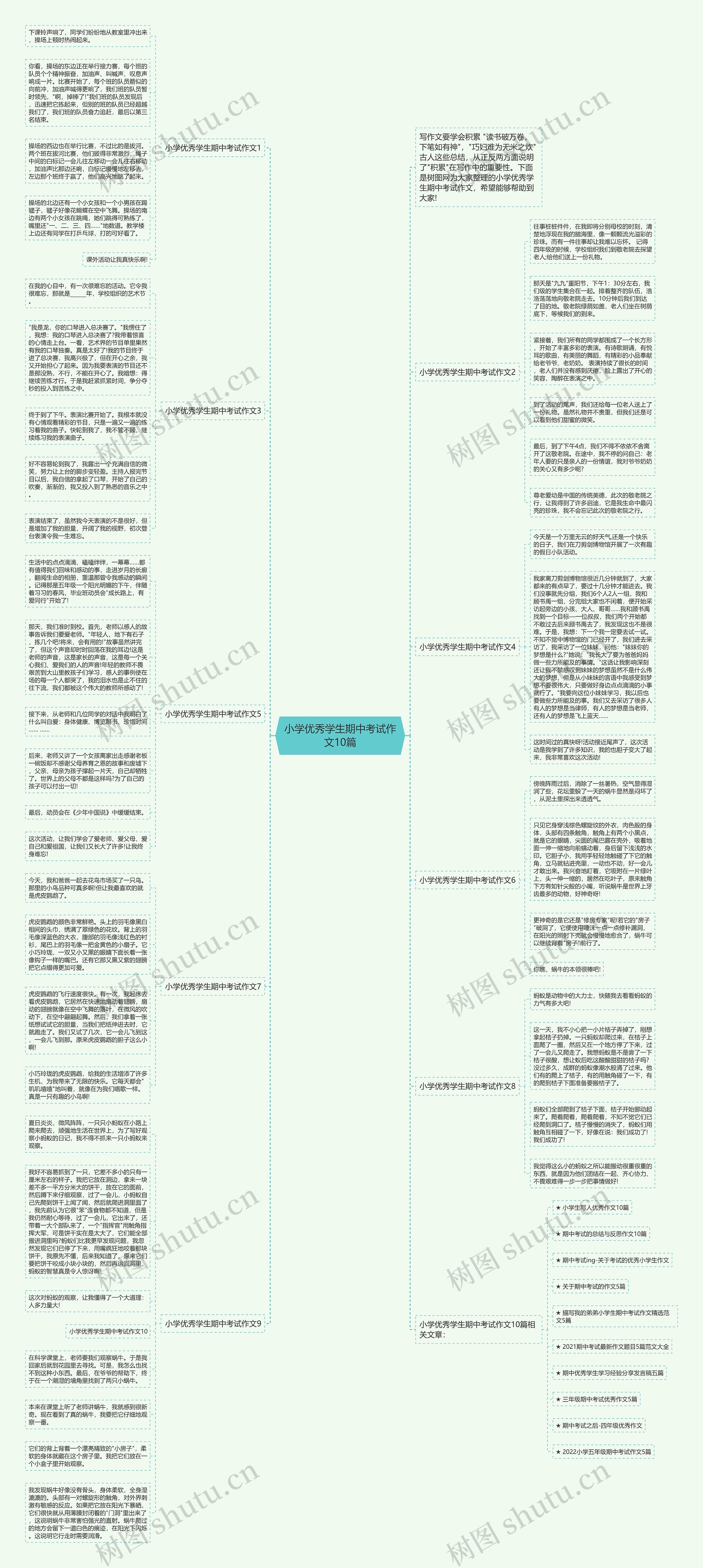 小学优秀学生期中考试作文10篇思维导图