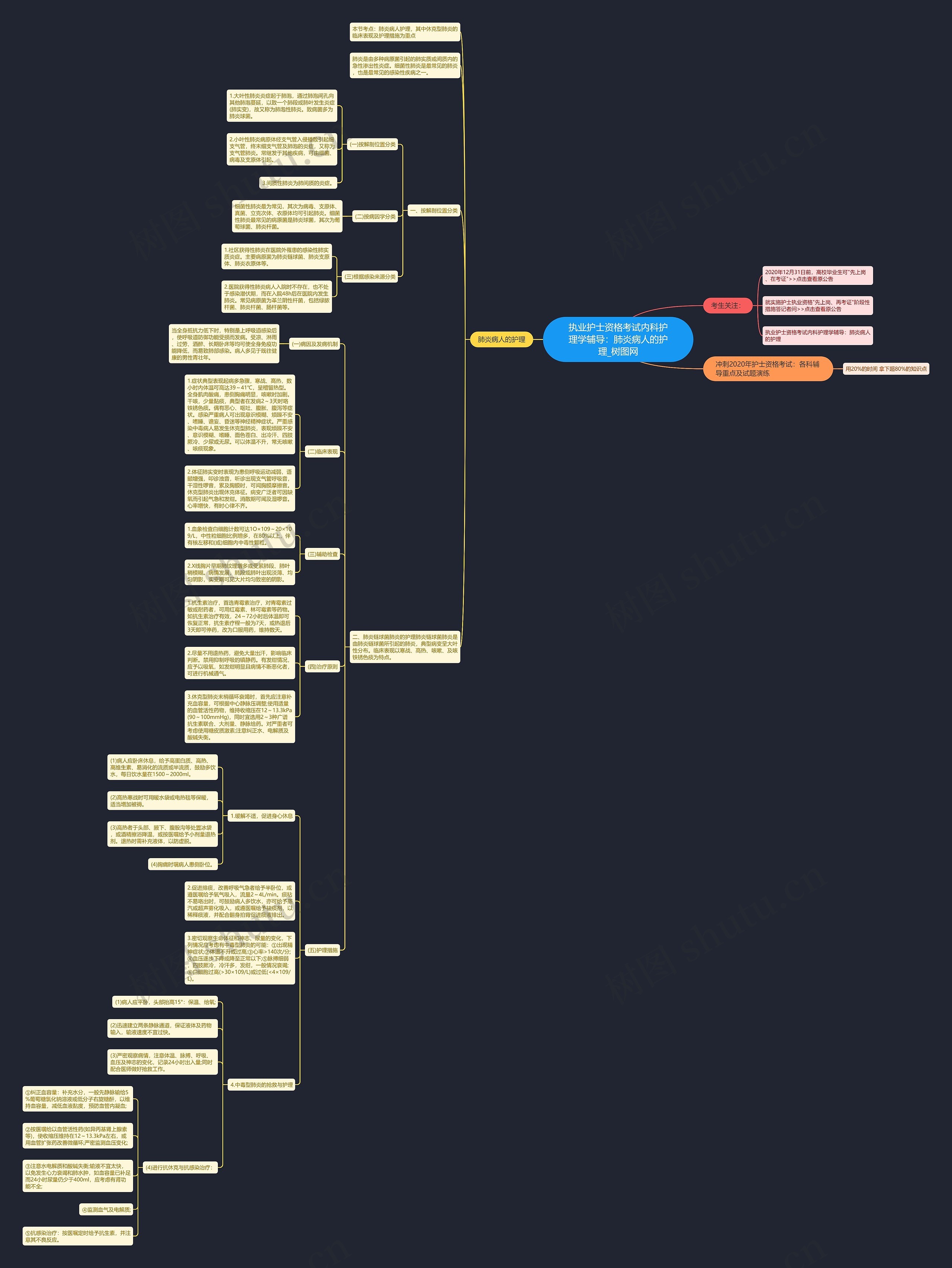 执业护士资格考试内科护理学辅导：肺炎病人的护理思维导图