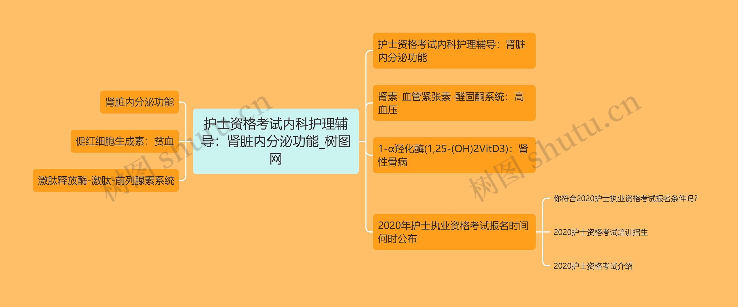 护士资格考试内科护理辅导：肾脏内分泌功能思维导图