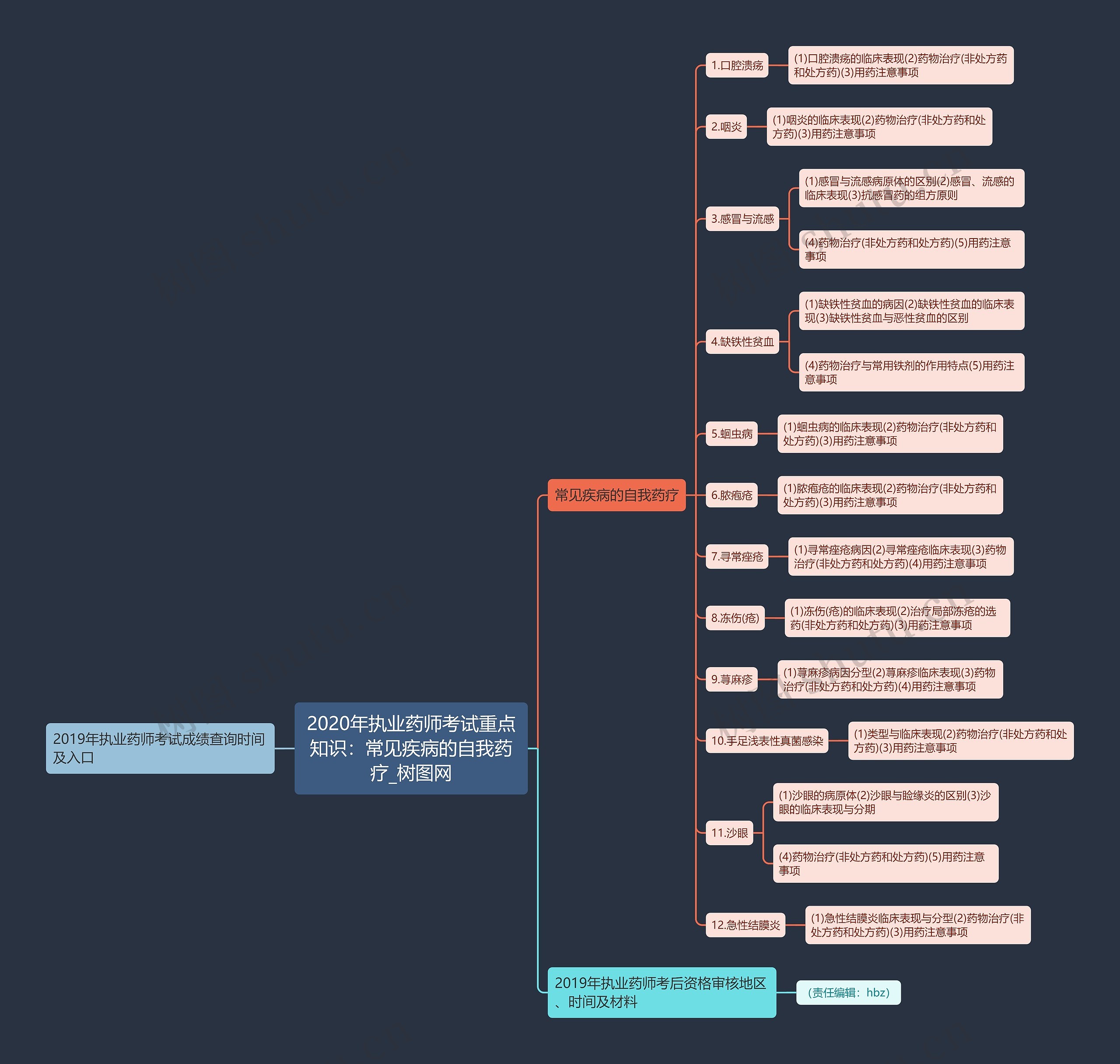 2020年执业药师考试重点知识：常见疾病的自我药疗思维导图