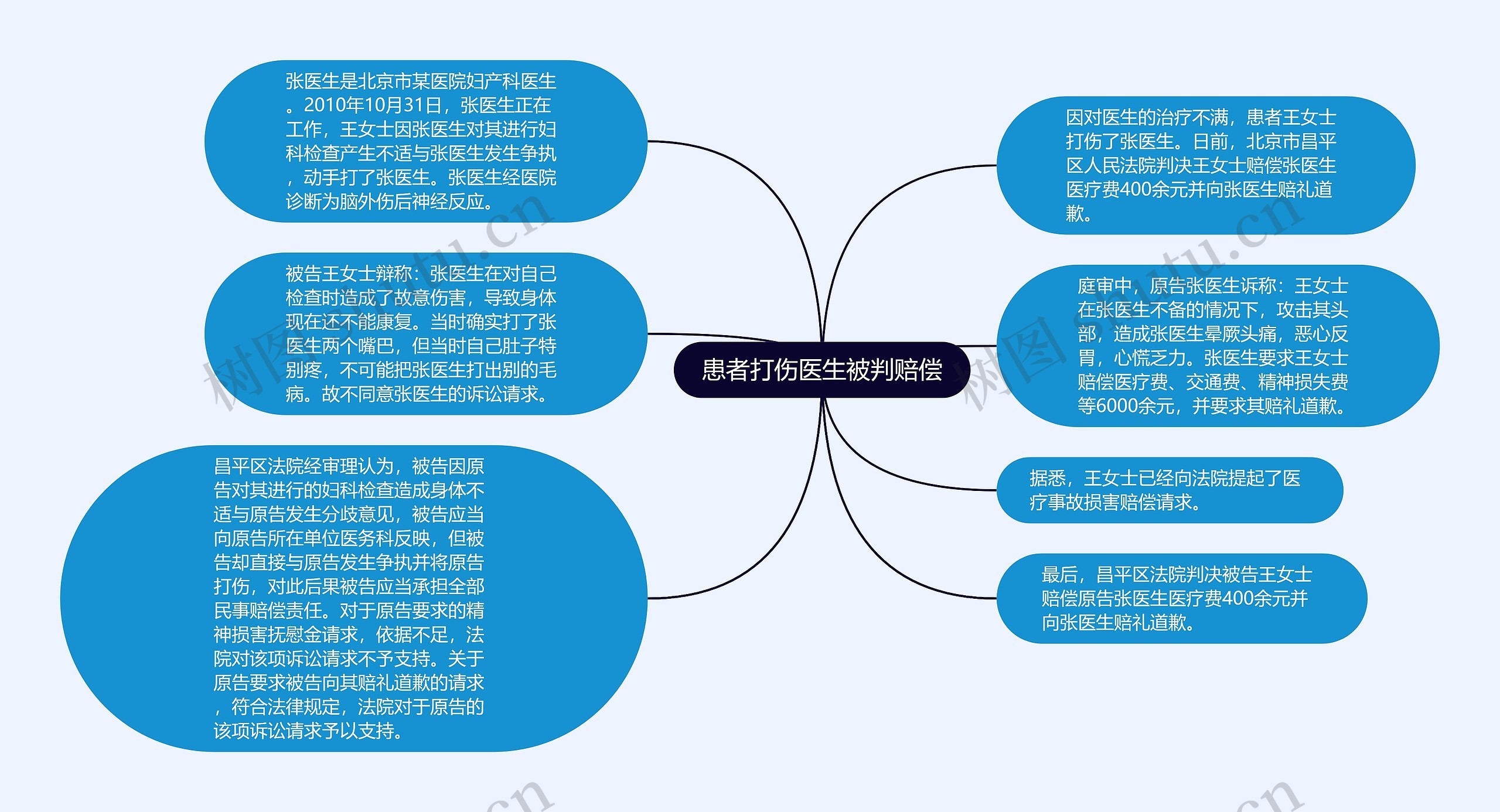 患者打伤医生被判赔偿思维导图