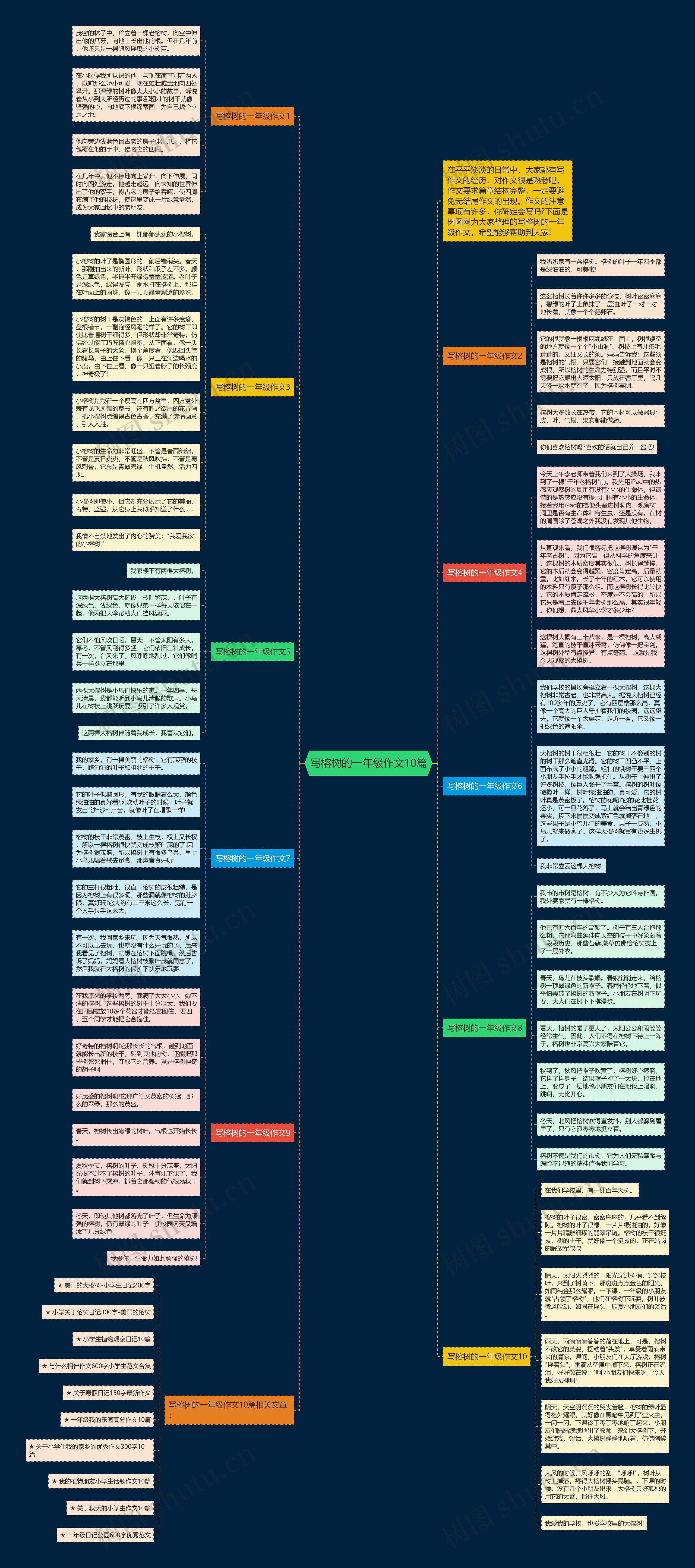 写榕树的一年级作文10篇思维导图