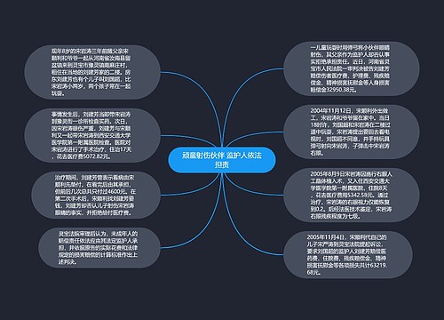 顽童射伤伙伴 监护人依法担责