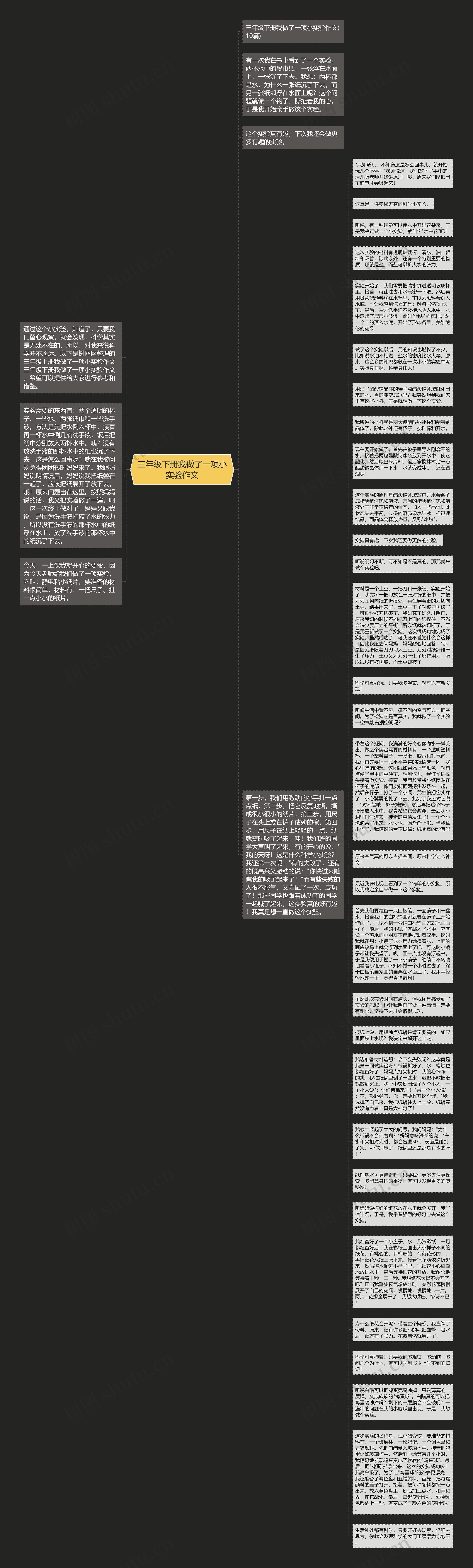 三年级下册我做了一项小实验作文