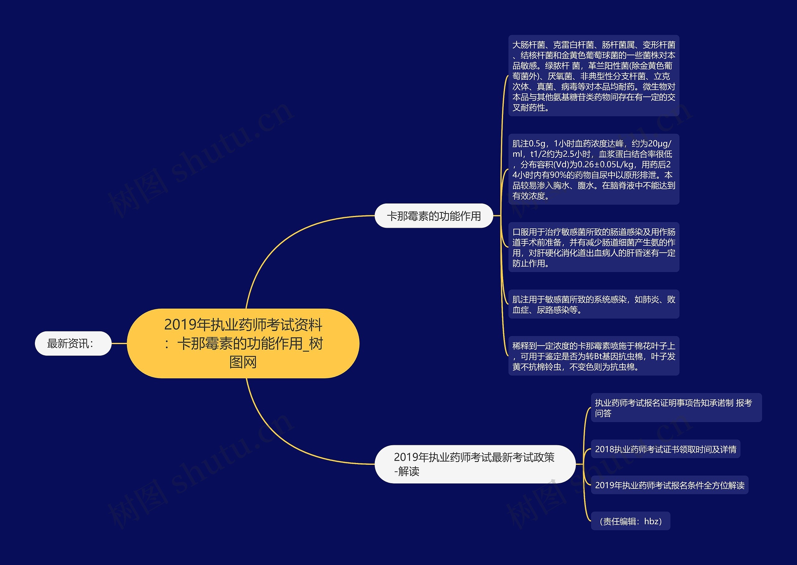 2019年执业药师考试资料：卡那霉素的功能作用思维导图