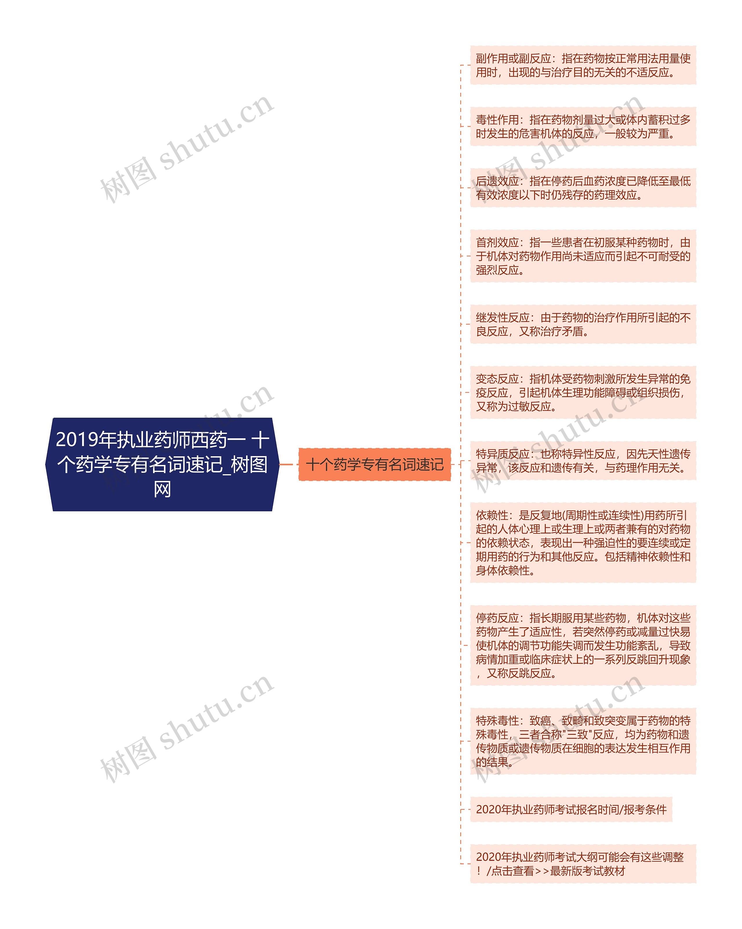2019年执业药师西药一 十个药学专有名词速记