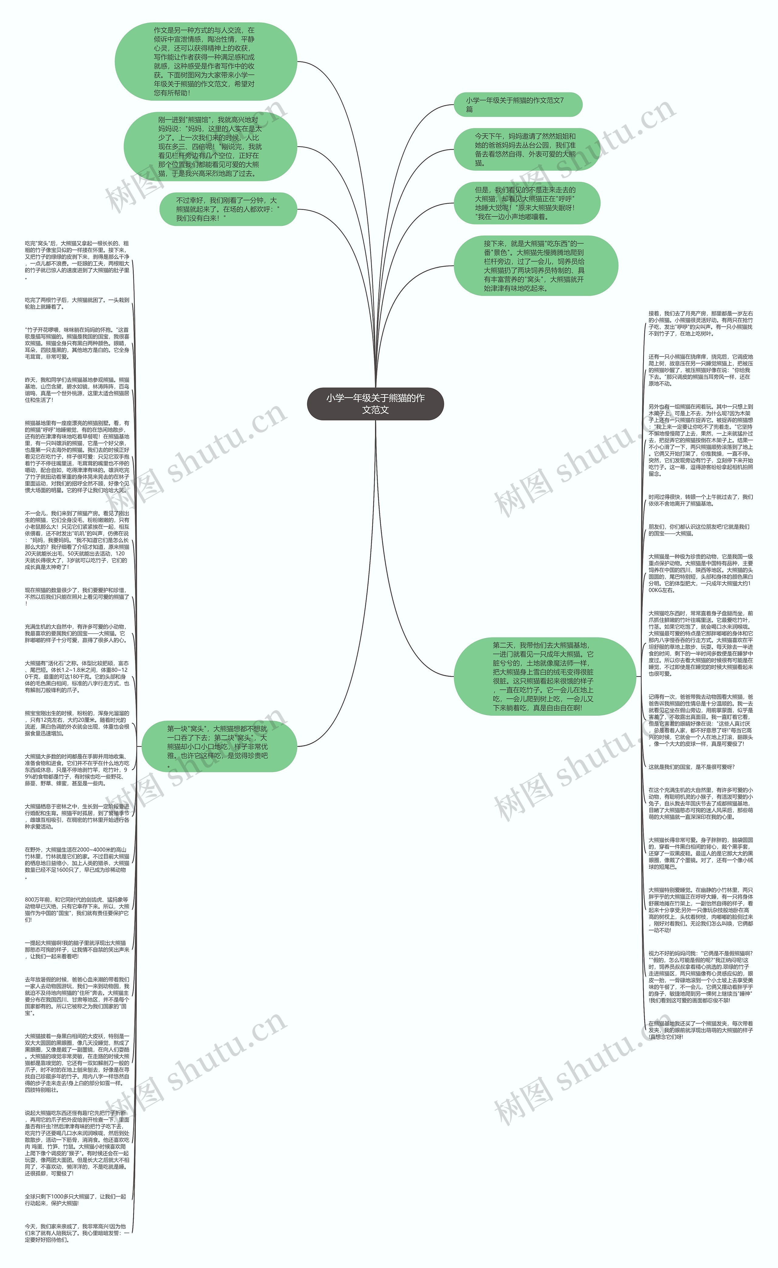 小学一年级关于熊猫的作文范文思维导图