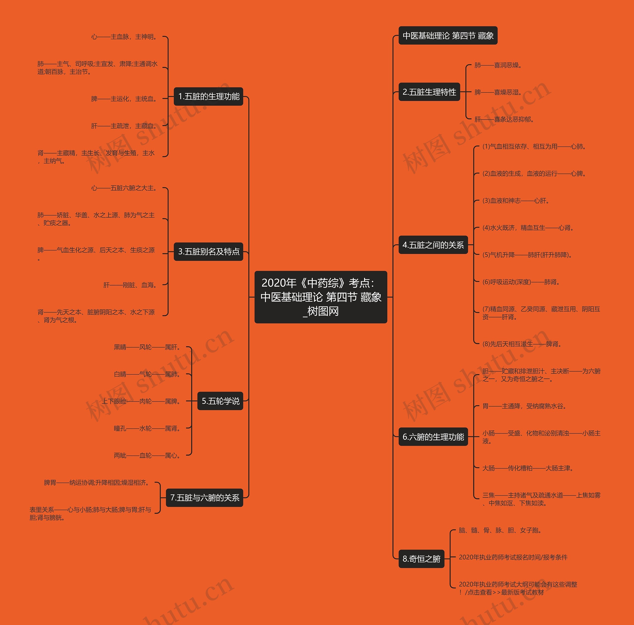 2020年《中药综》考点:中医基础理论 第四节 藏象 2020年《中药综》考点:中医基础理论 第四节 藏象