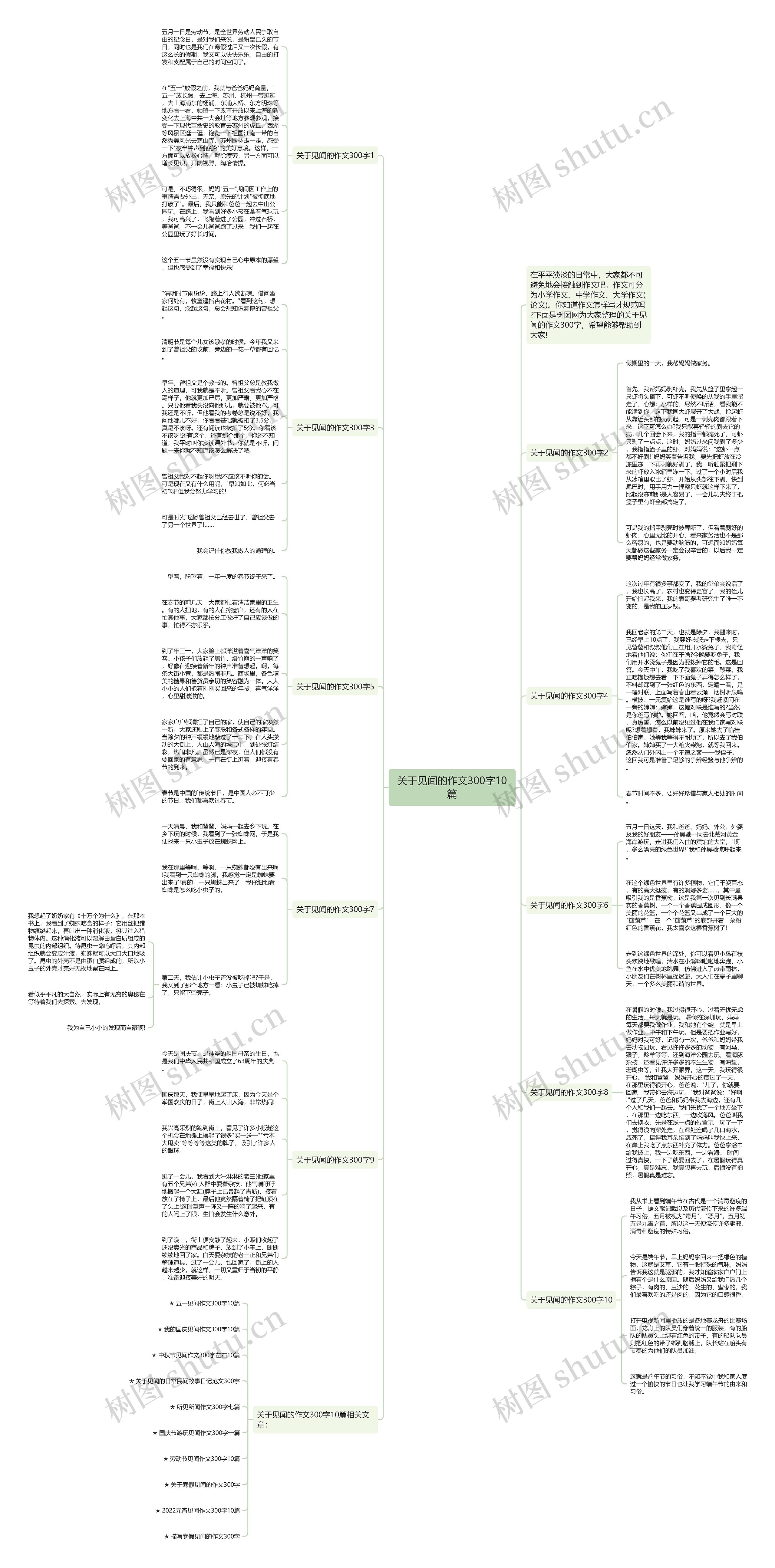 关于见闻的作文300字10篇