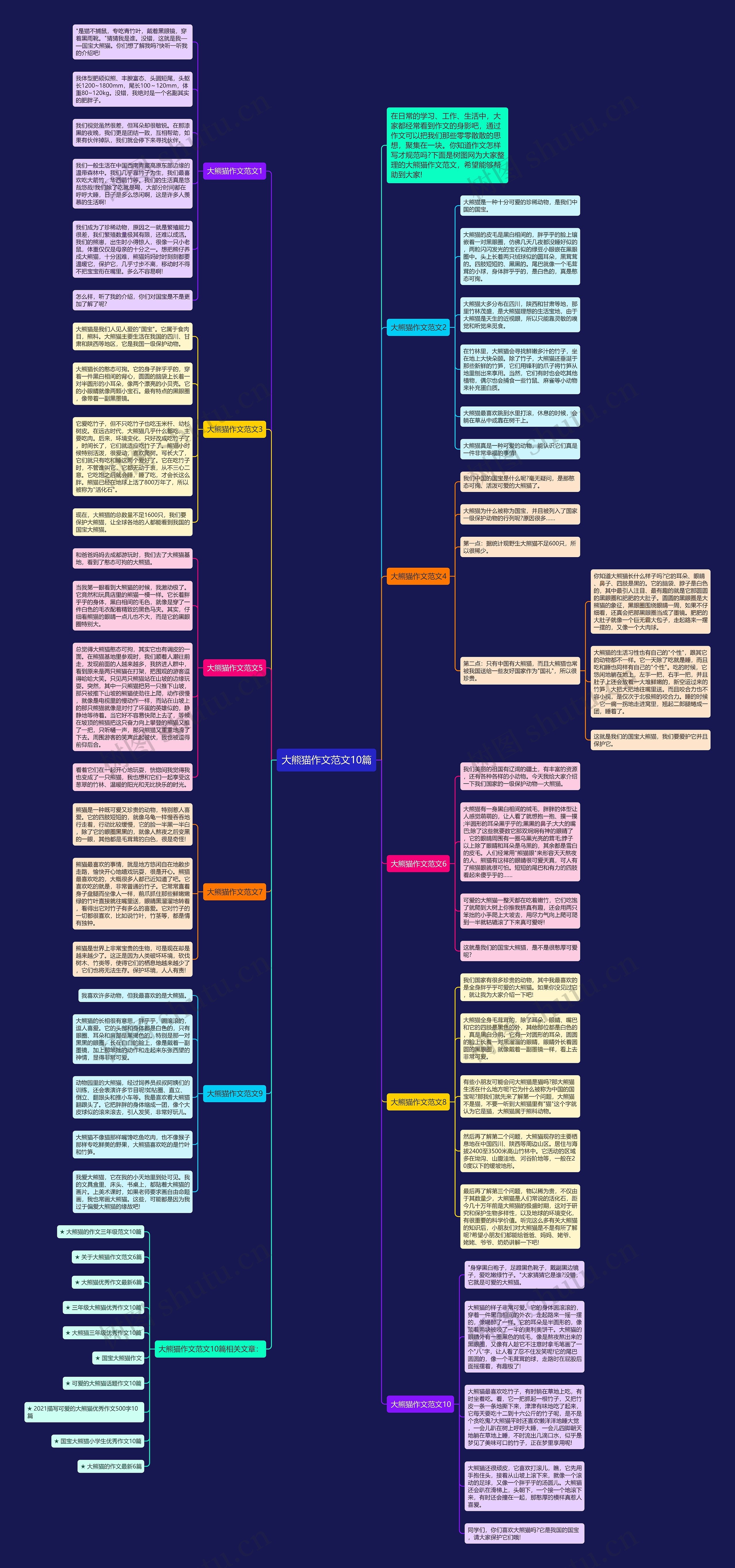 大熊猫作文范文10篇思维导图