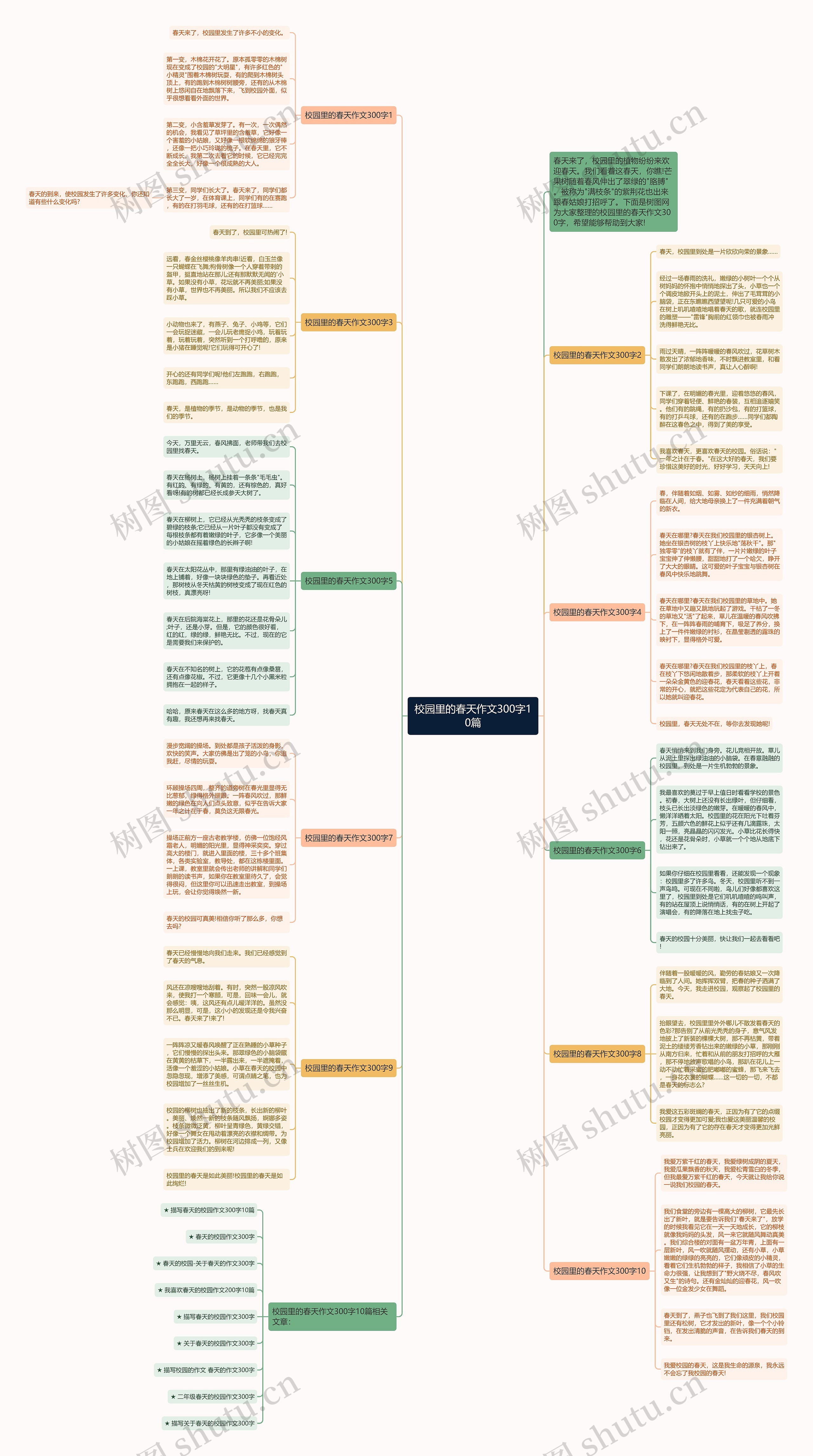 校园里的春天作文300字10篇思维导图