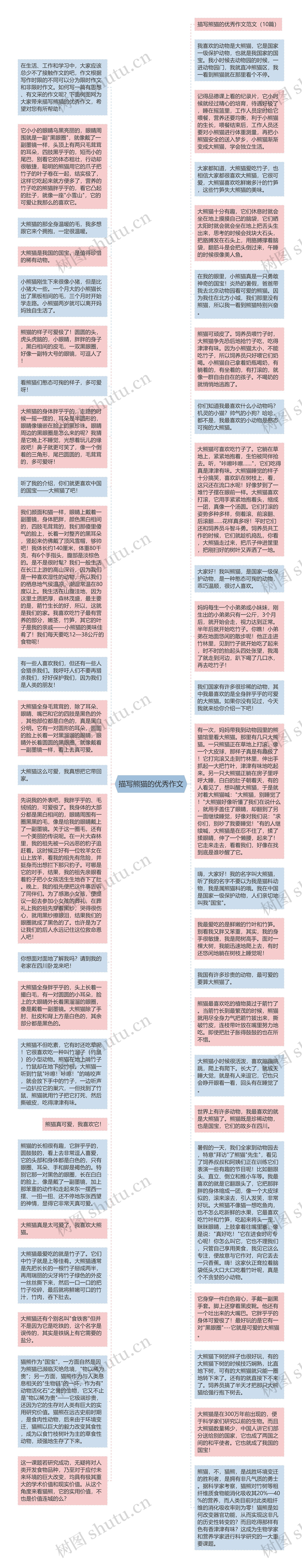 描写熊猫的优秀作文思维导图