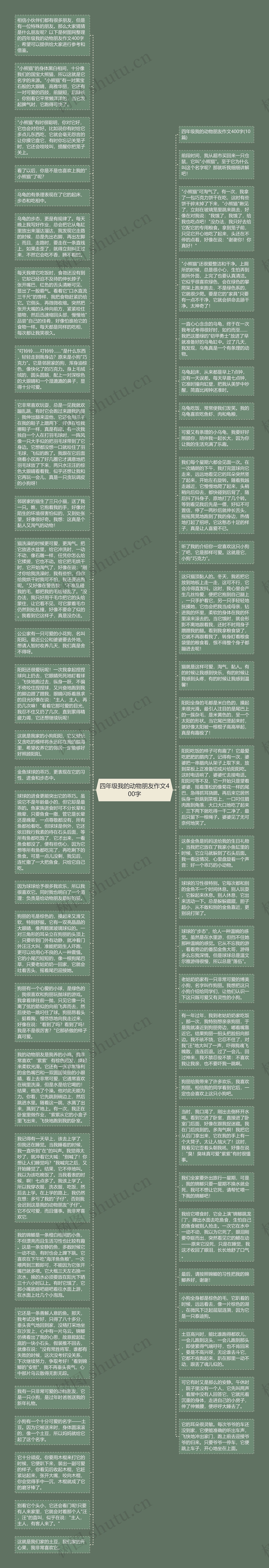 四年级我的动物朋友作文400字