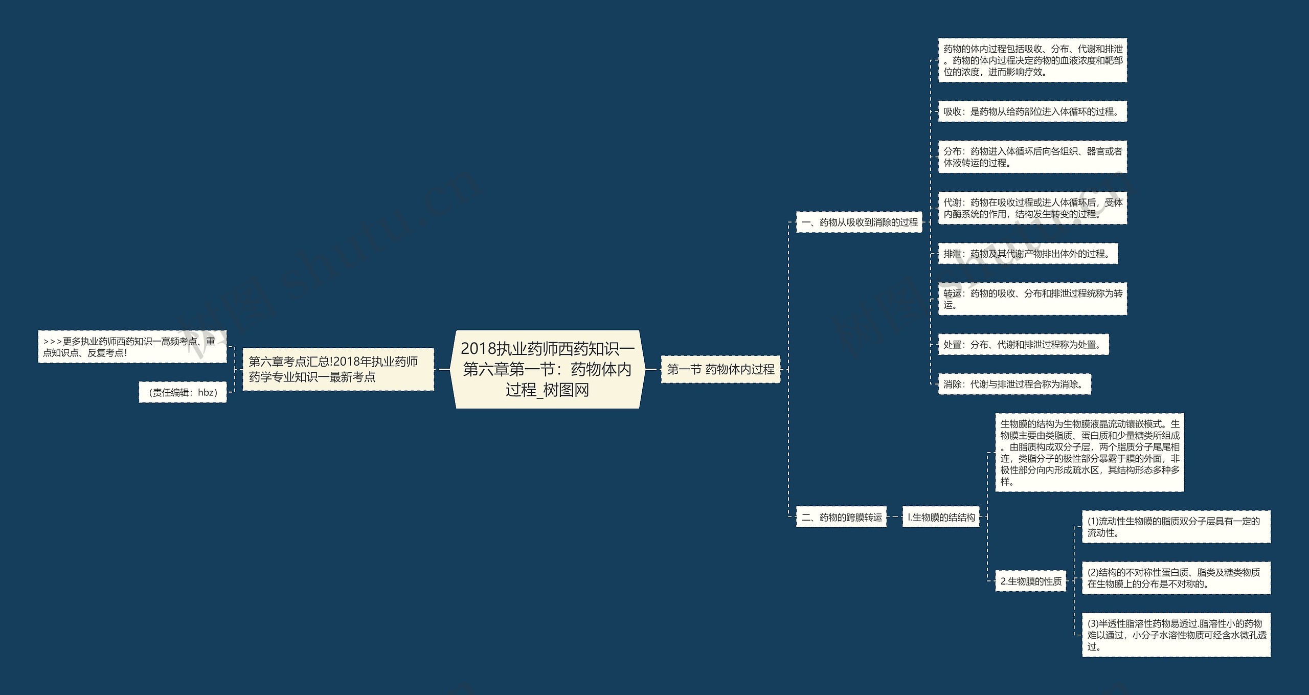2018执业药师西药知识一第六章第一节：药物体内过程思维导图