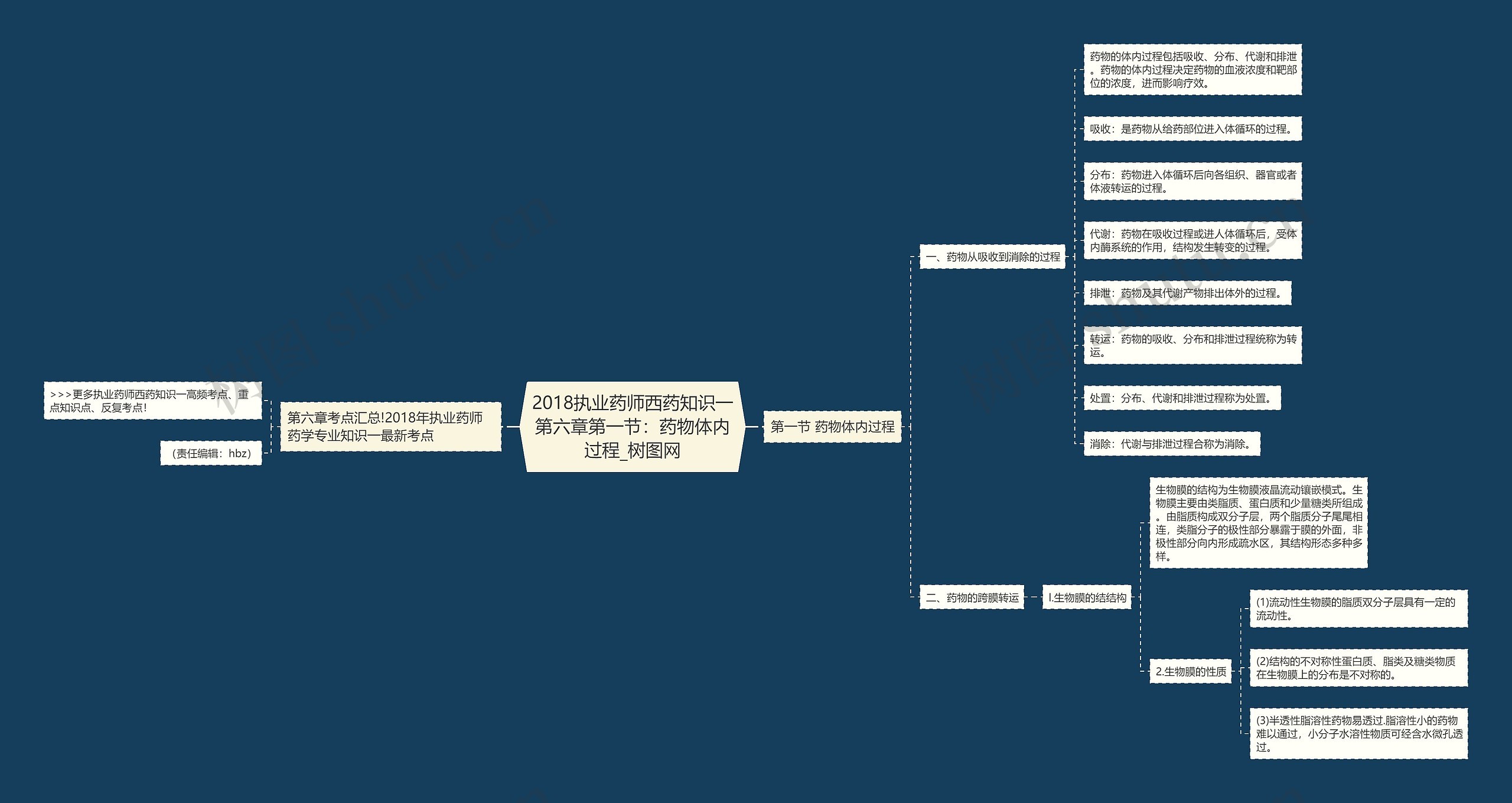 2018执业药师西药知识一第六章第一节:药物体内过程 2018执业药师西药知识一第六章第一节:药物体内过程