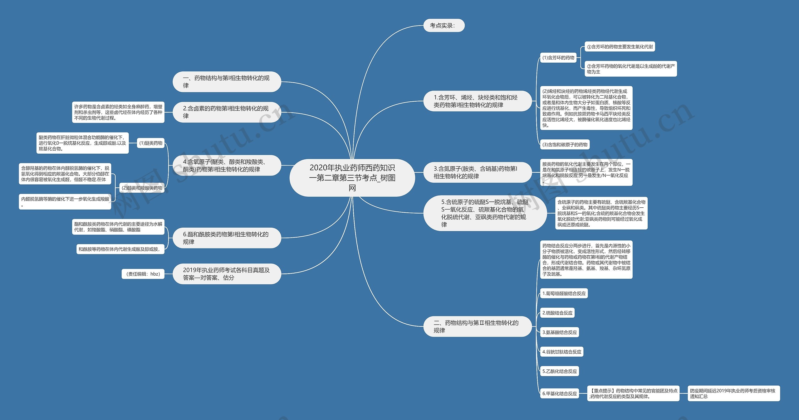 2020年执业药师西药知识一第二章第三节考点思维导图
