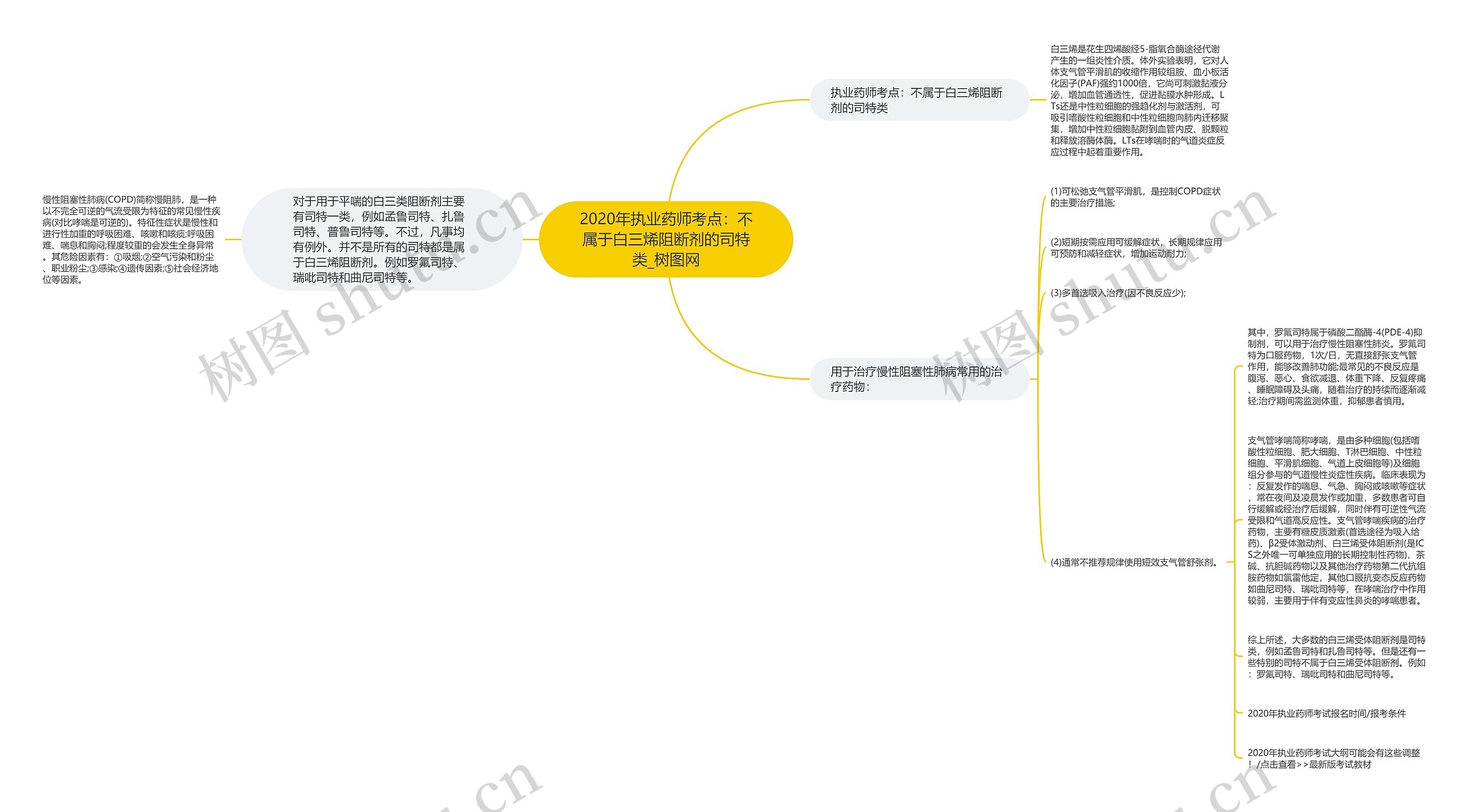 2020年执业药师考点：不属于白三烯阻断剂的司特类思维导图