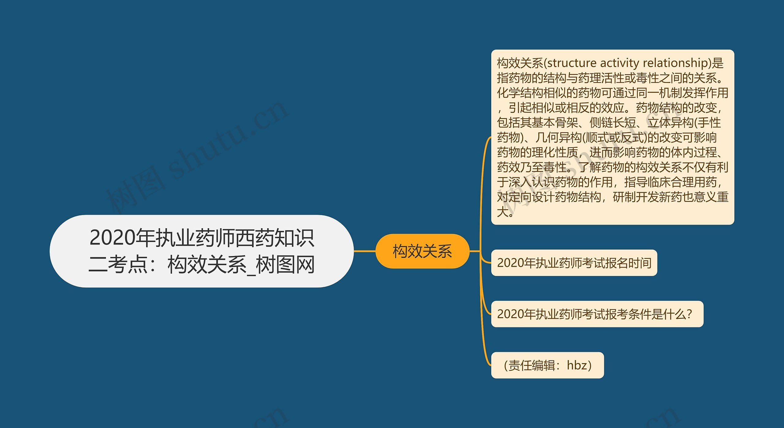 2020年执业药师西药知识二考点：构效关系思维导图