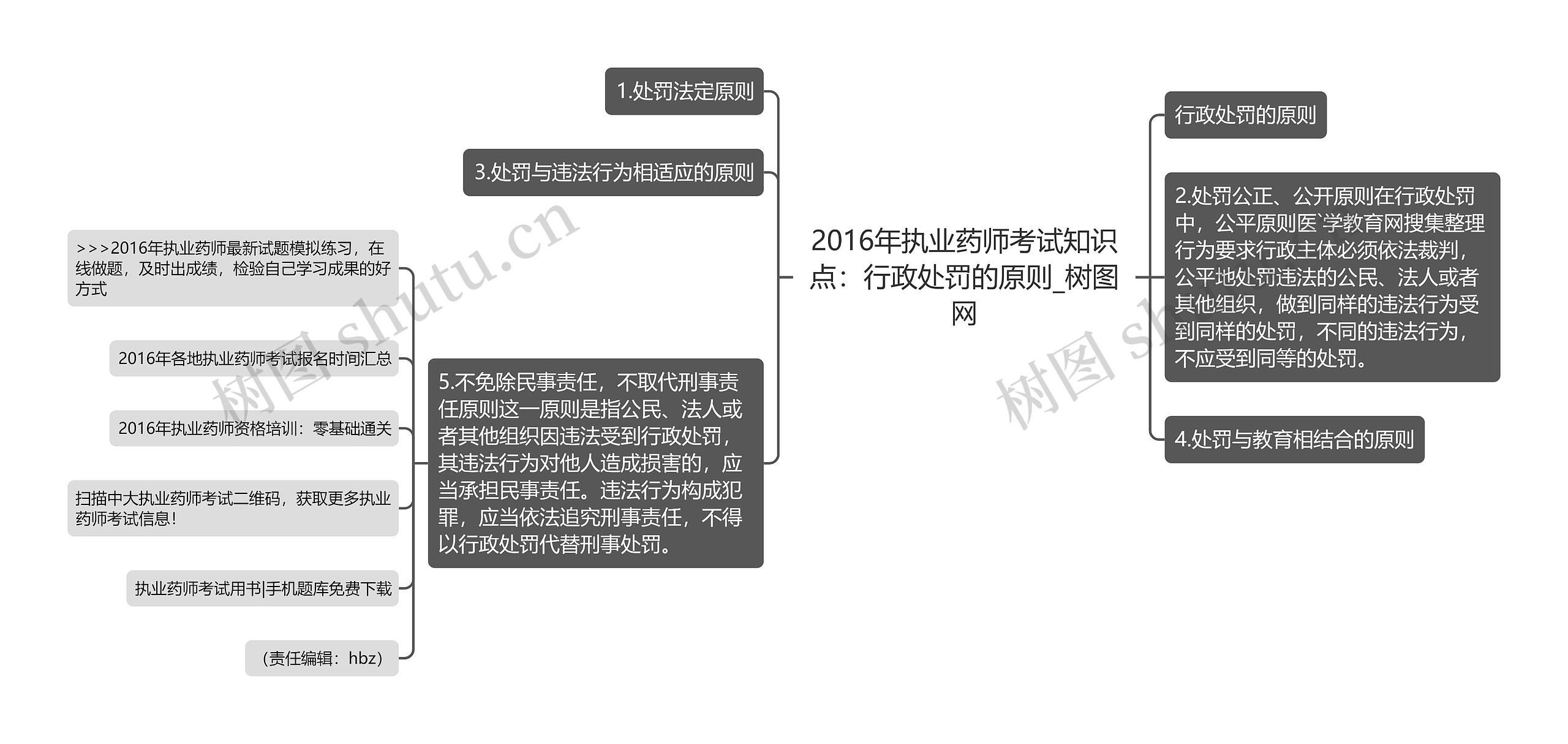 2016年执业药师考试知识点：行政处罚的原则