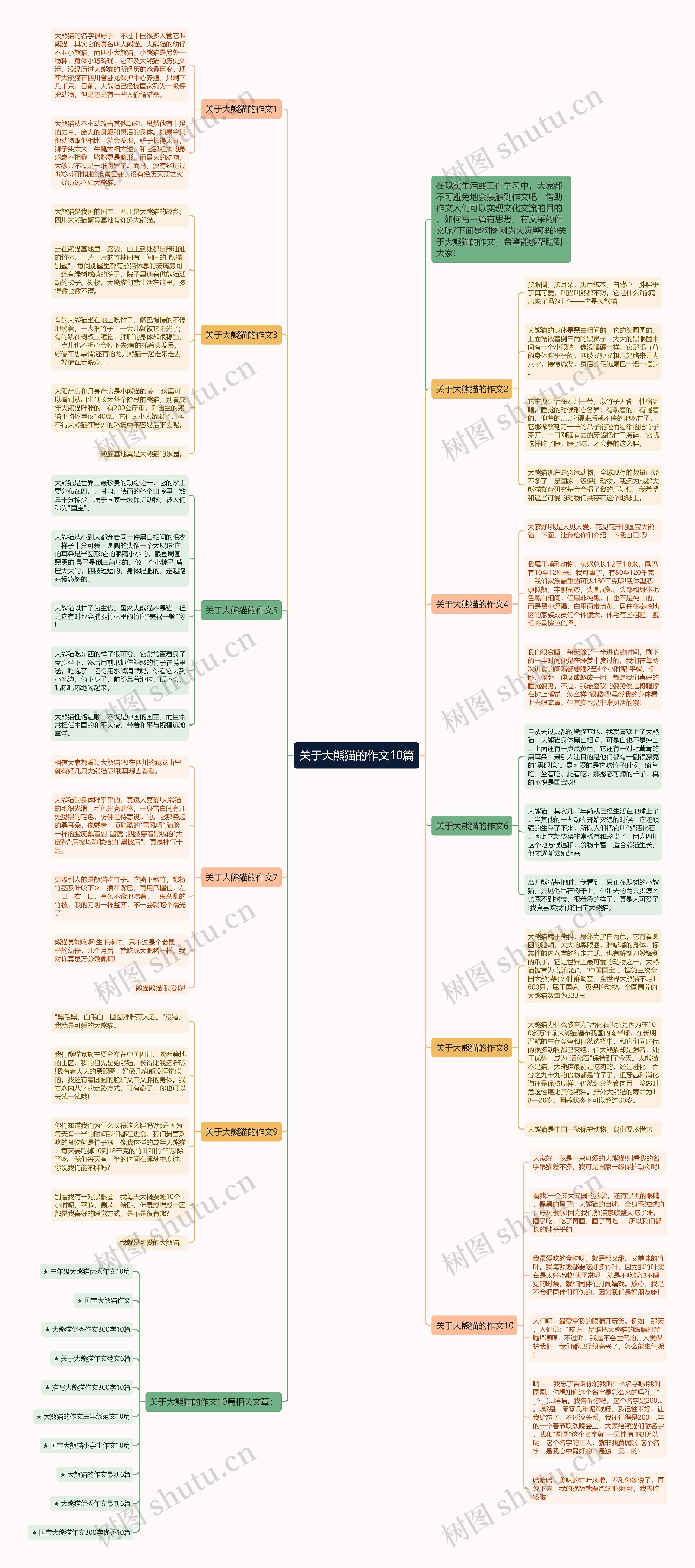 关于大熊猫的作文10篇思维导图