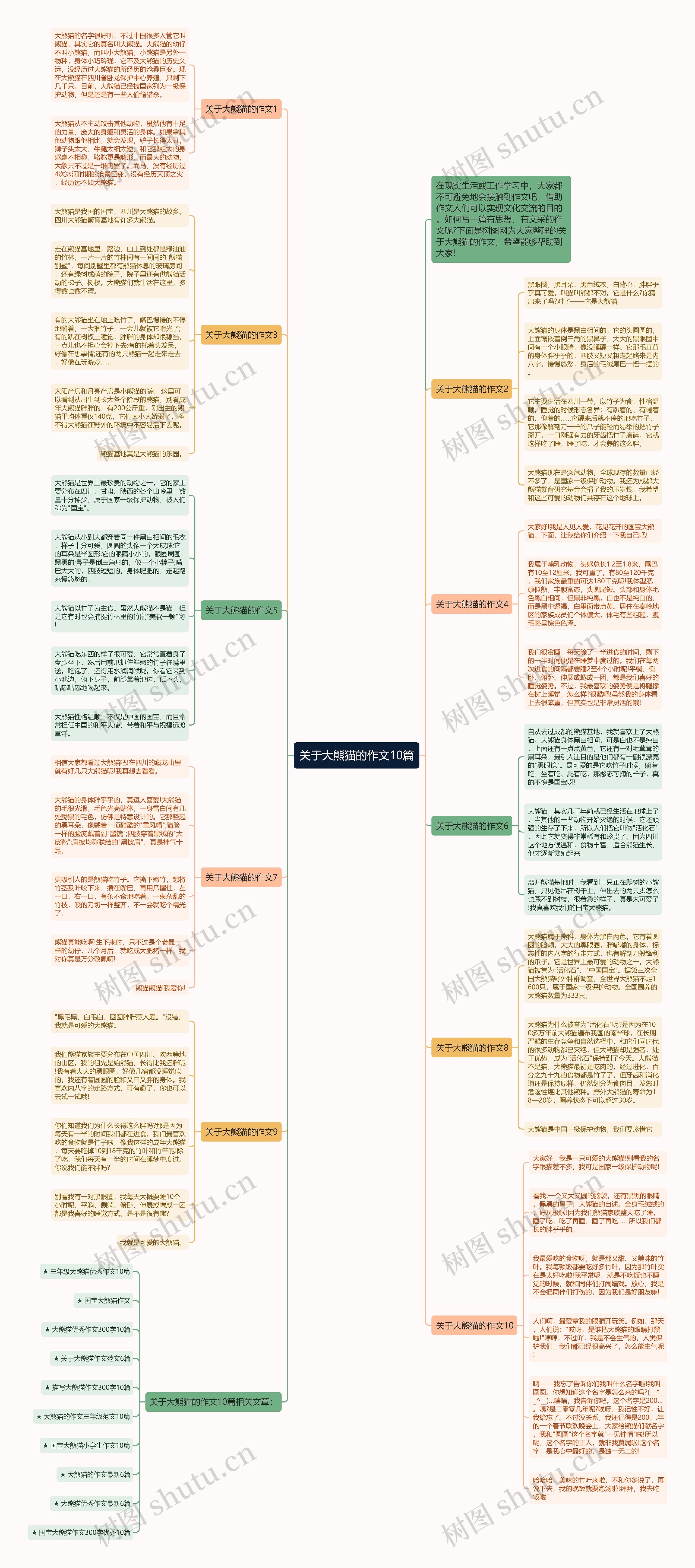 关于大熊猫的作文10篇思维导图高清图 关于大熊猫的作文10篇思维导图