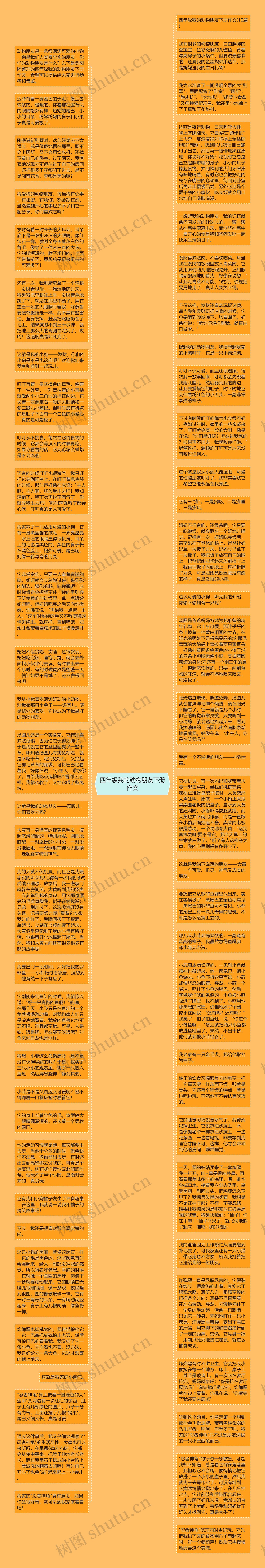 四年级我的动物朋友下册作文