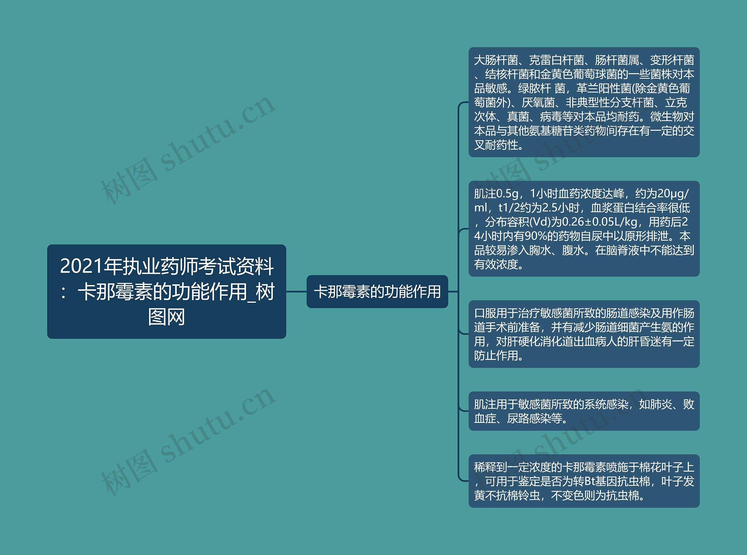 2021年执业药师考试资料：卡那霉素的功能作用思维导图