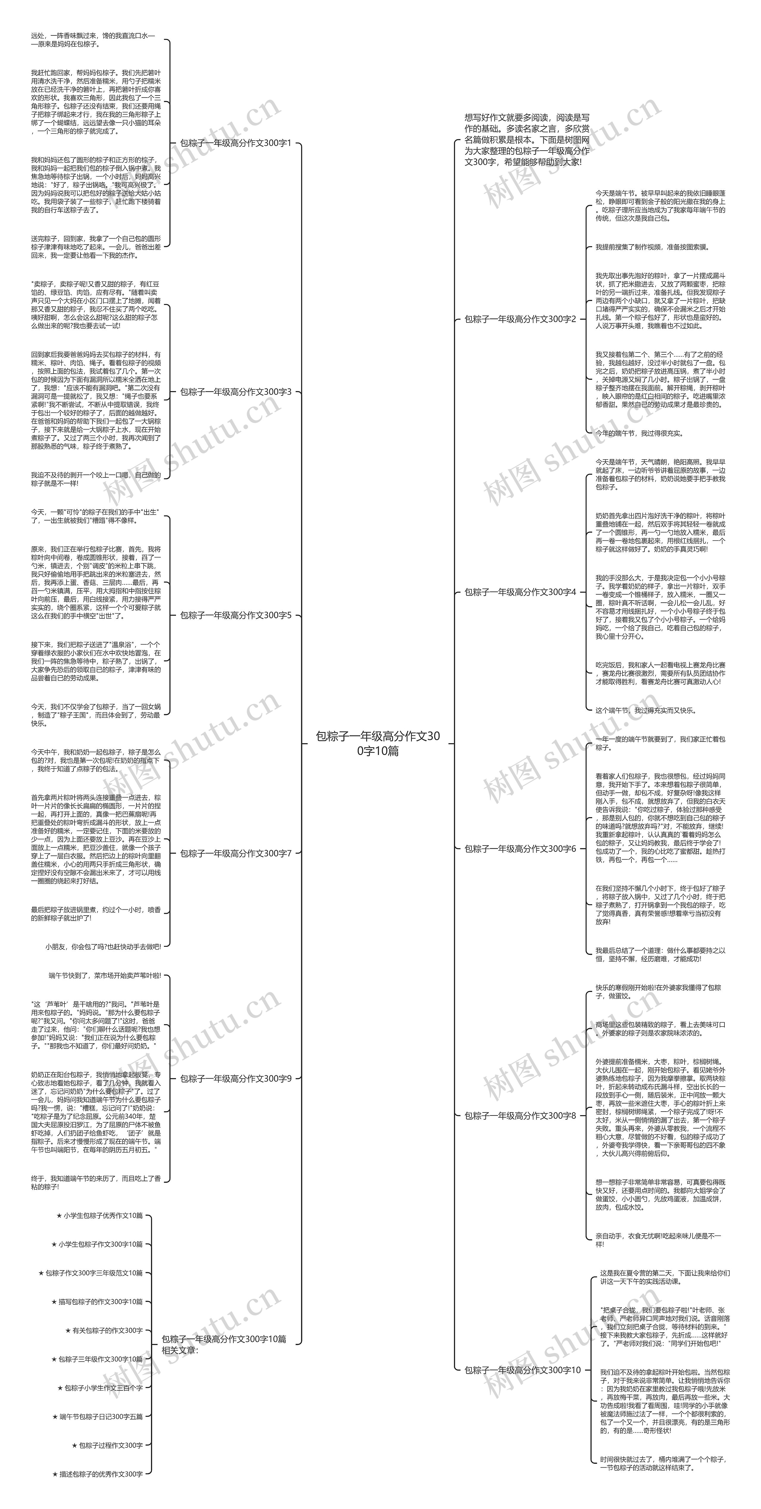 包粽子一年级高分作文300字10篇思维导图