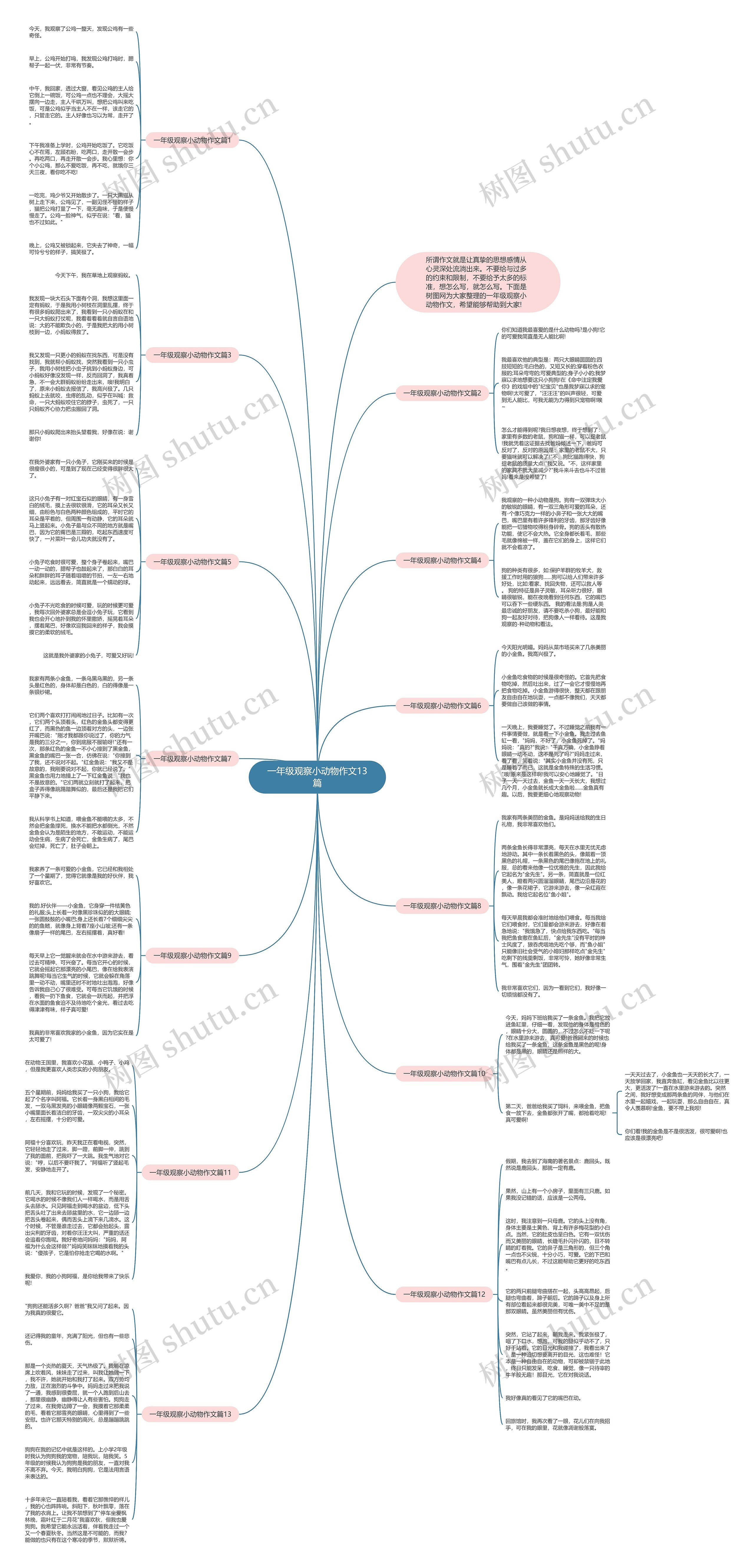 一年级观察小动物作文13篇思维导图