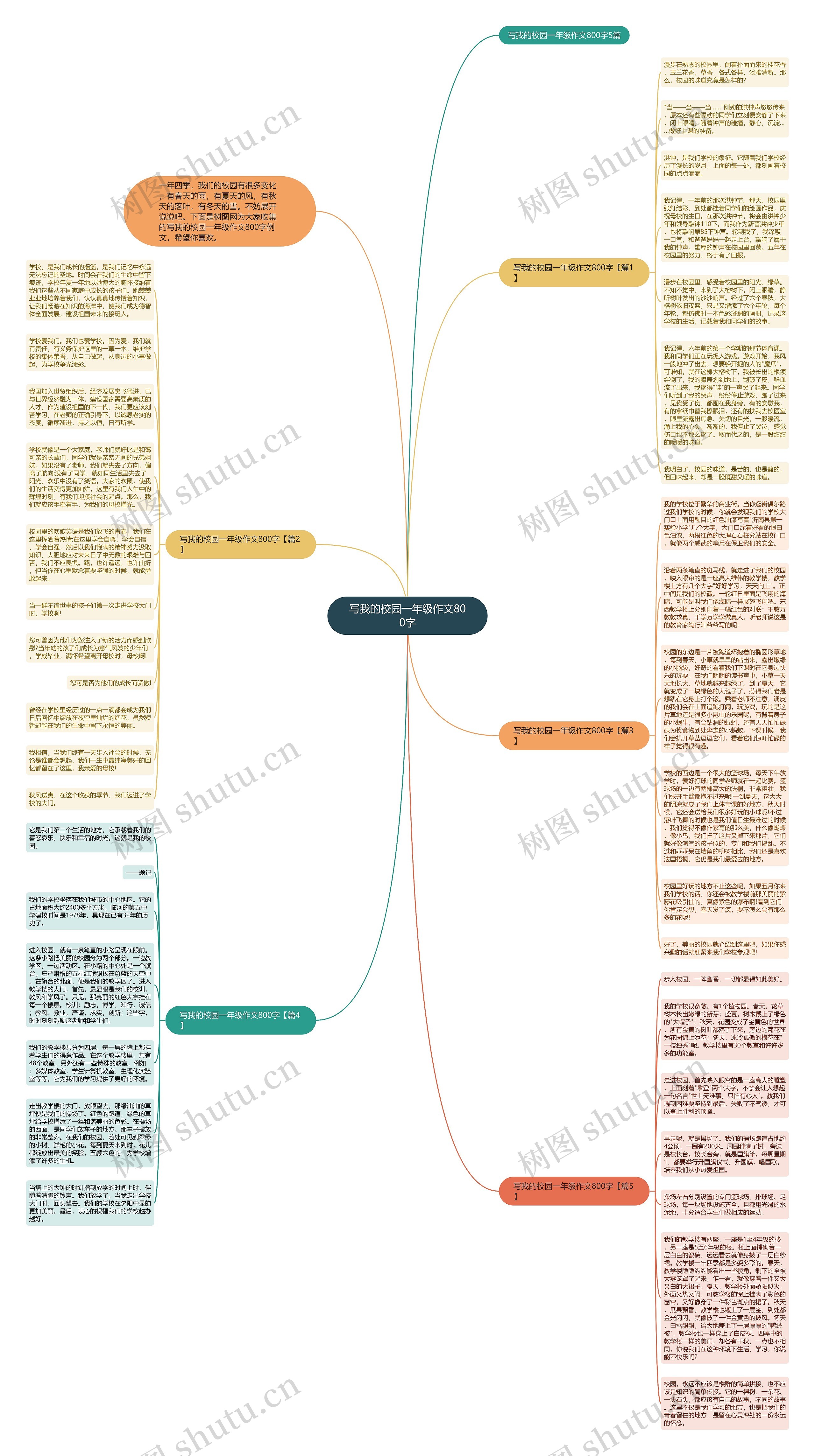 写我的校园一年级作文800字思维导图