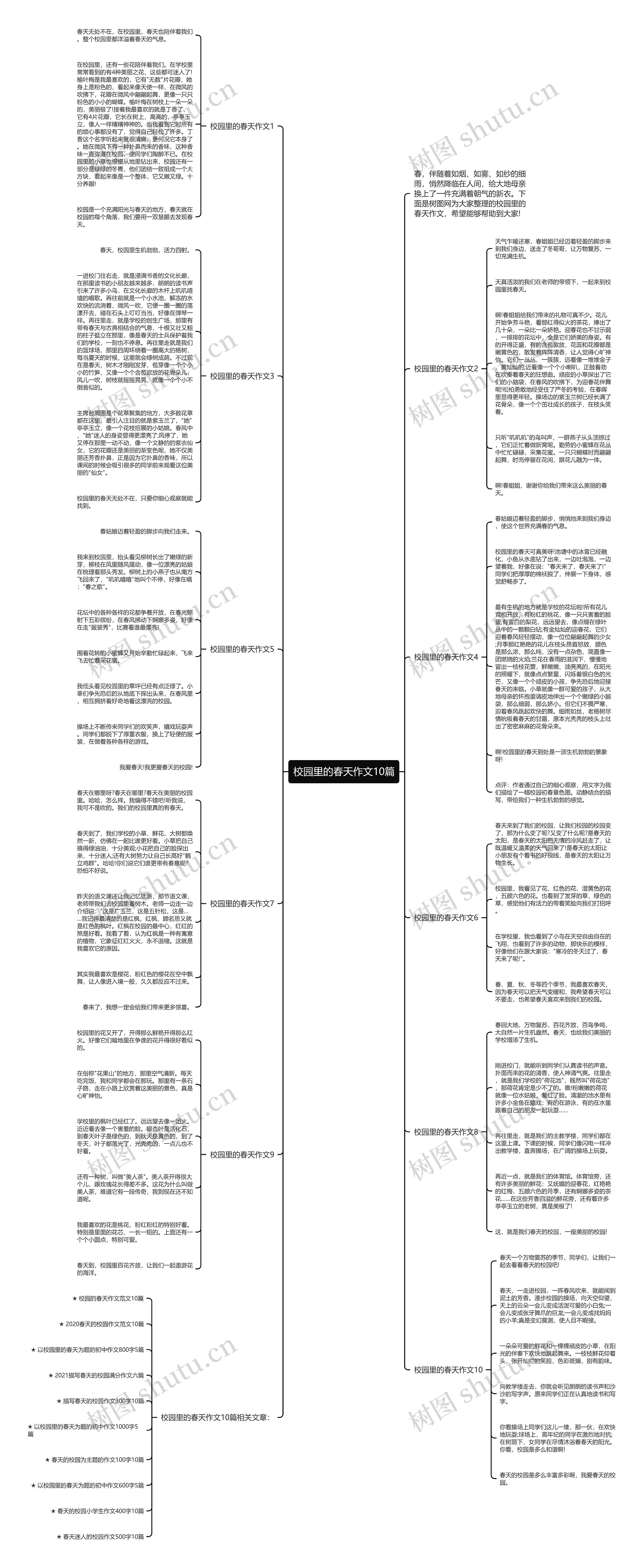 校园里的春天作文10篇