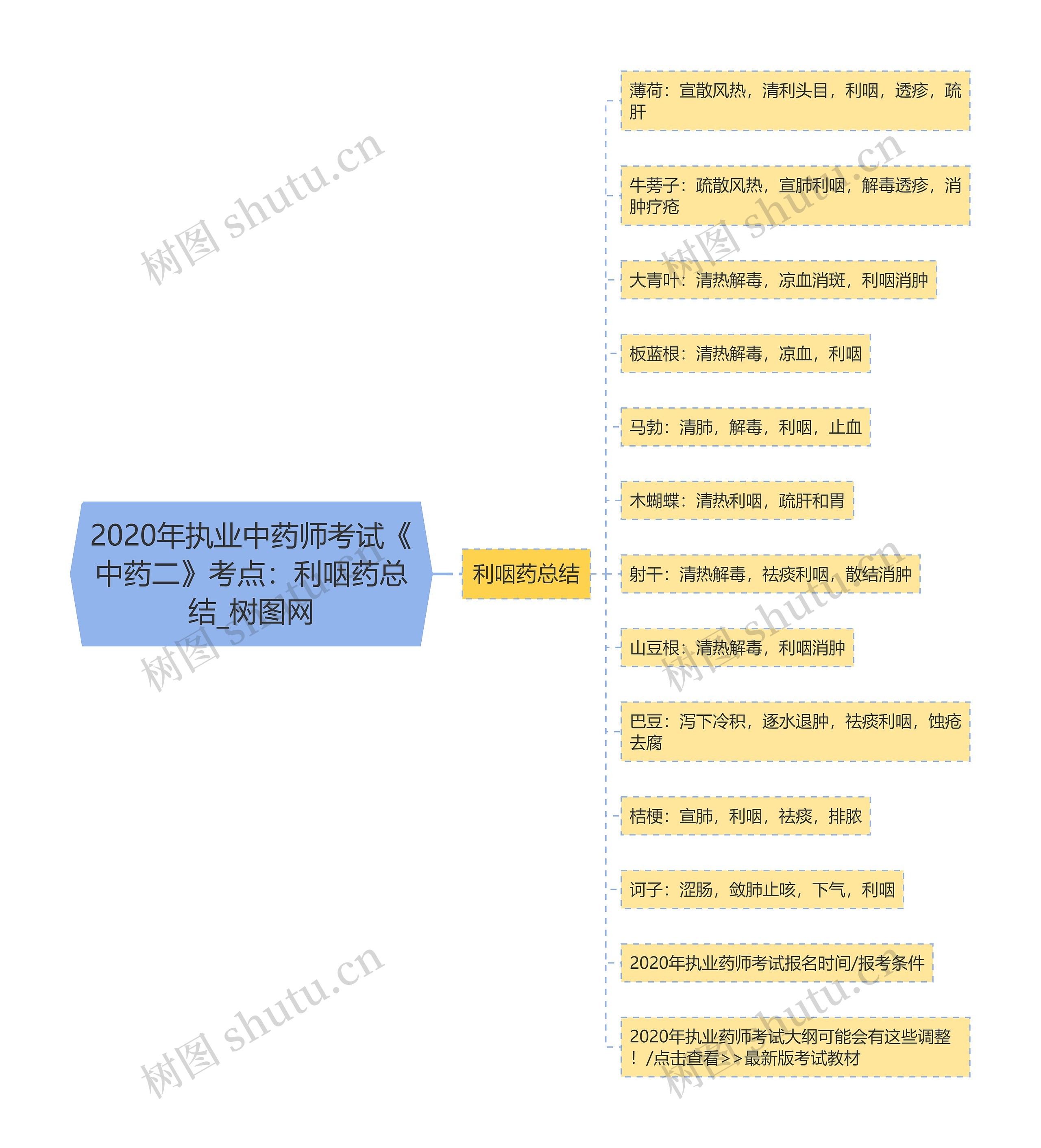 2020年执业中药师考试《中药二》考点：利咽药总结思维导图