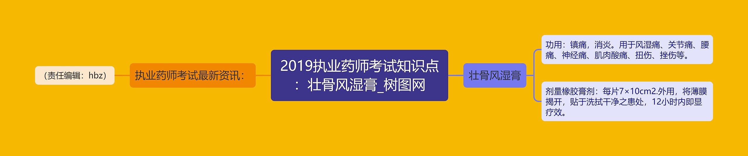 2019执业药师考试知识点：壮骨风湿膏