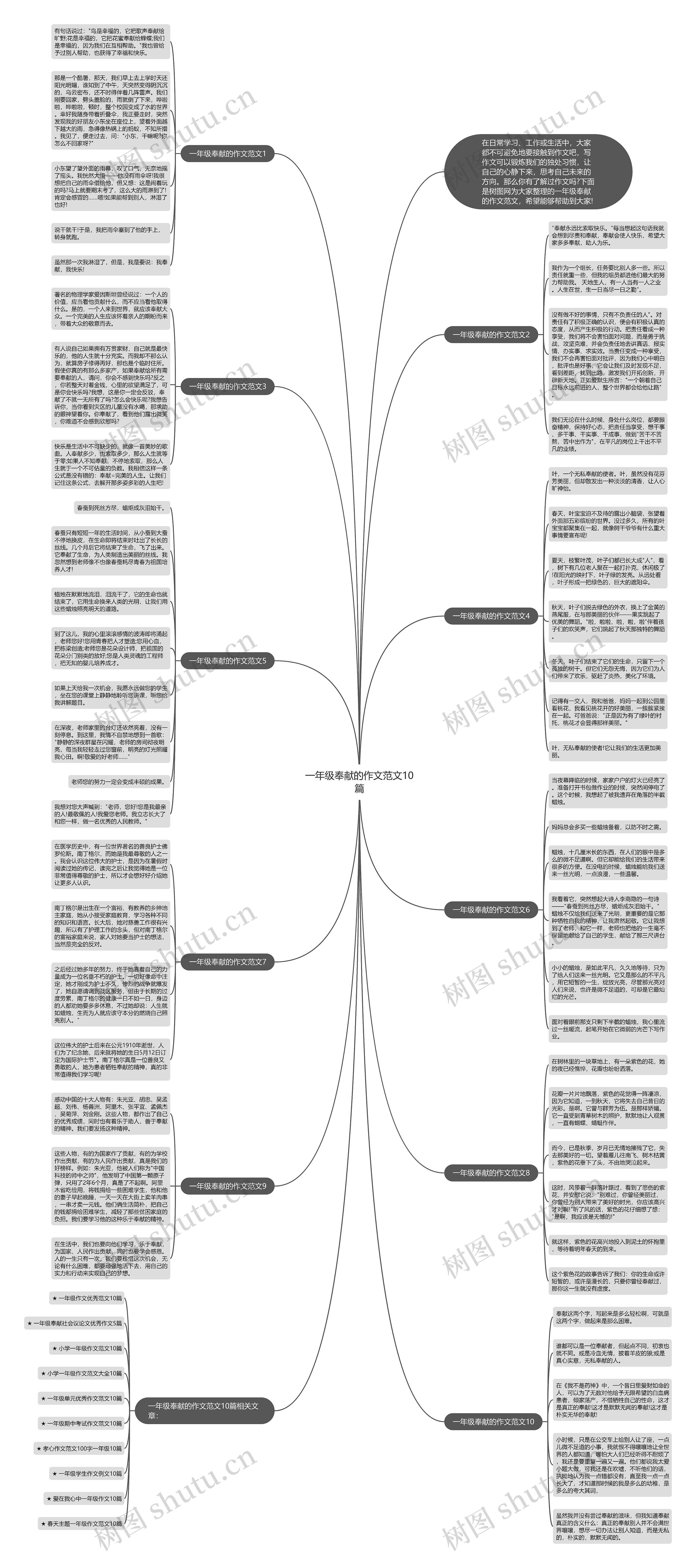 一年级奉献的作文范文10篇思维导图