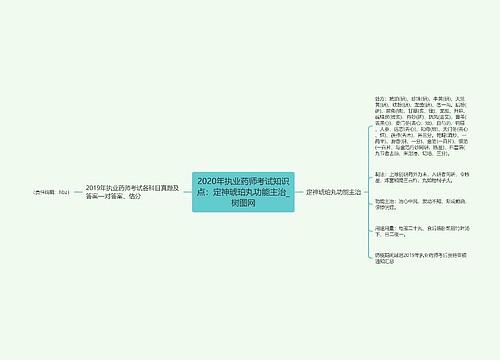 2020年执业药师考试知识点：定神琥珀丸功能主治