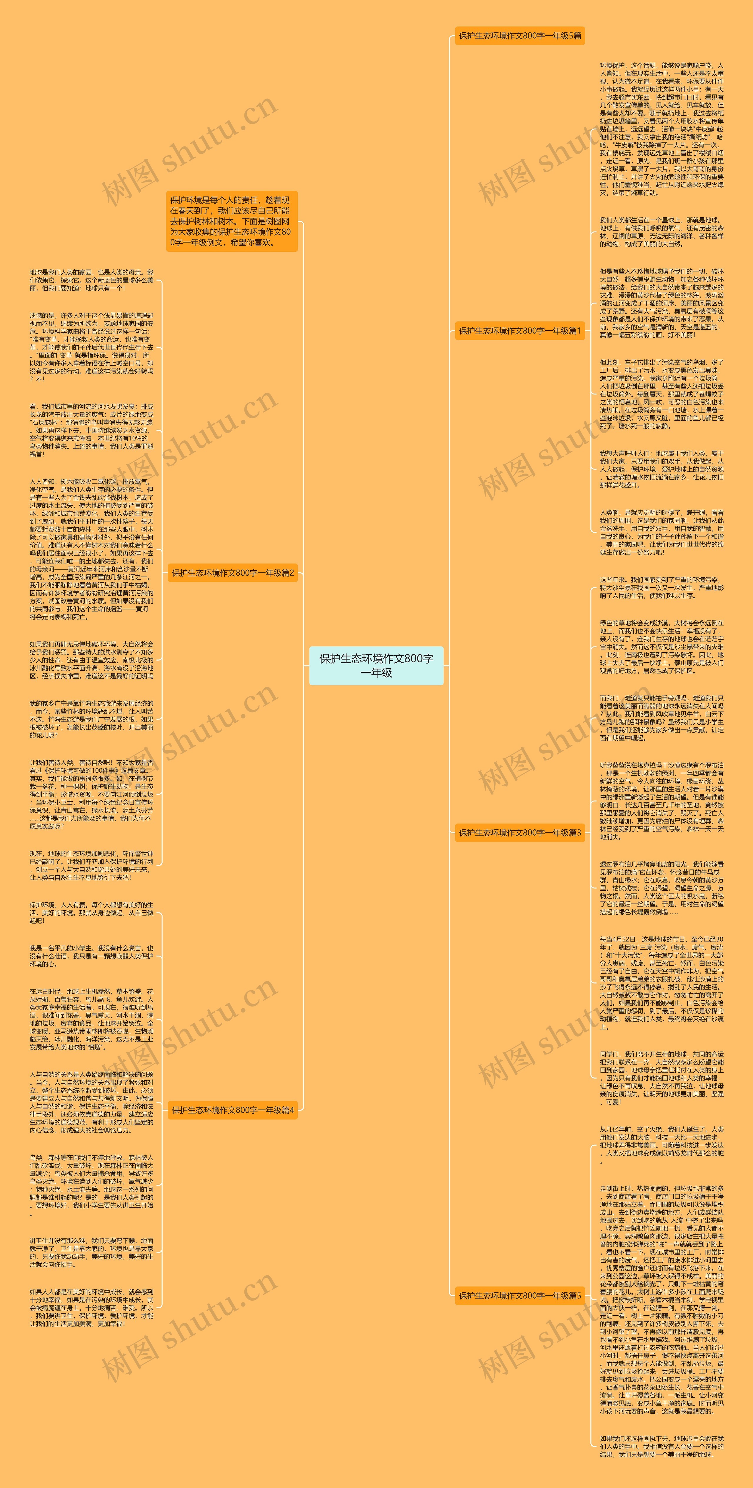保护生态环境作文800字一年级