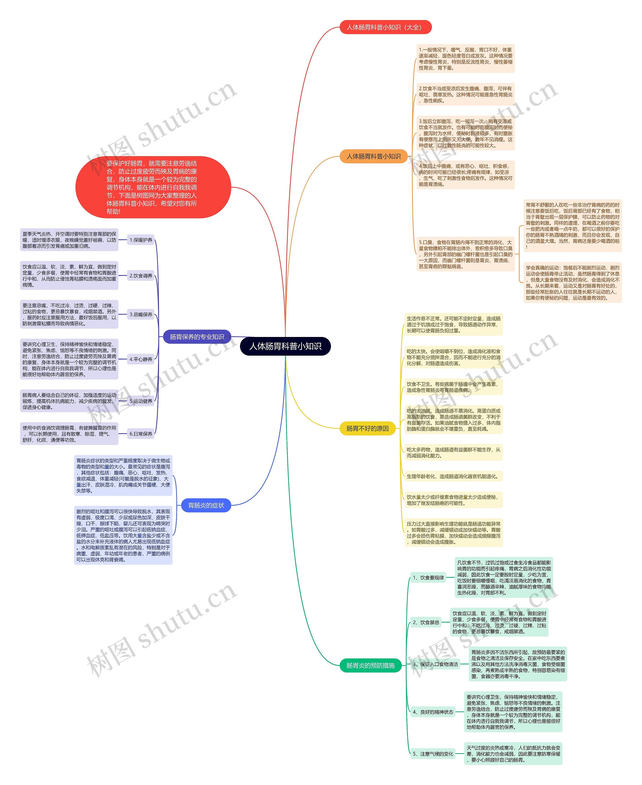 人体肠胃科普小知识思维导图
