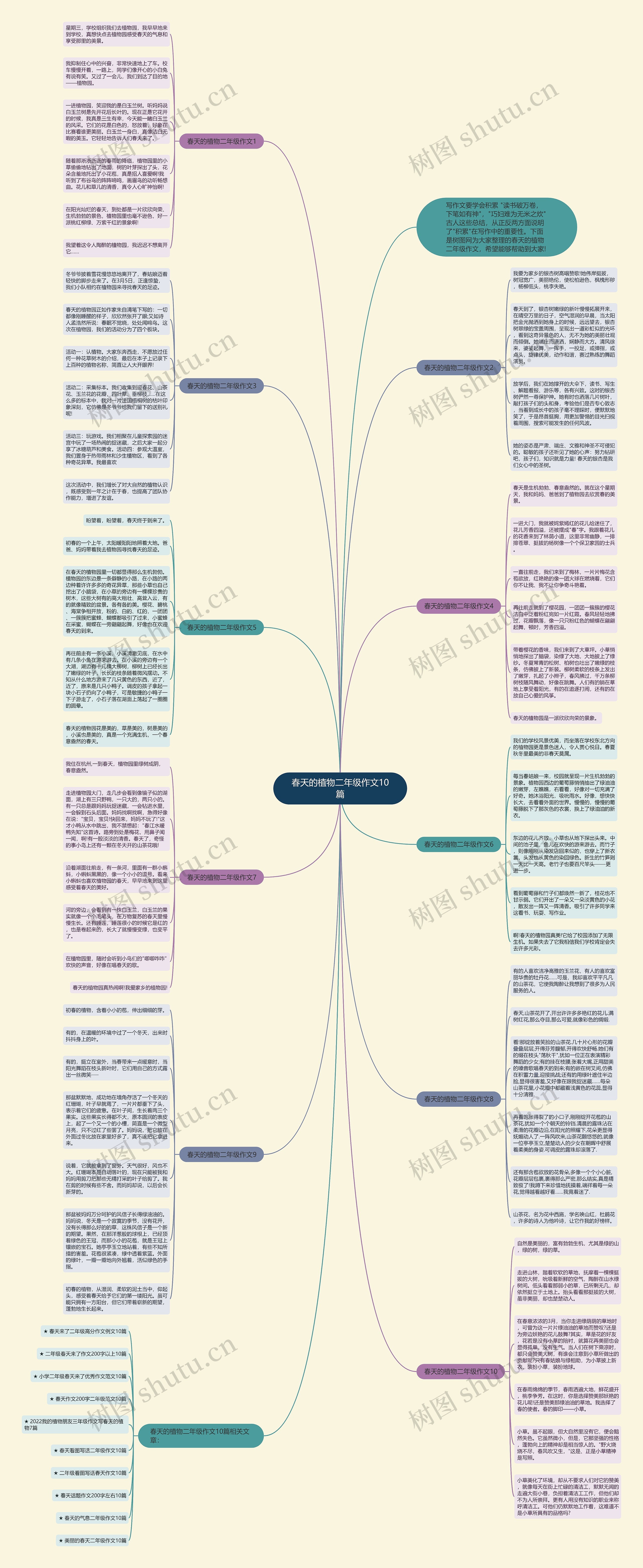 春天的植物二年级作文10篇思维导图