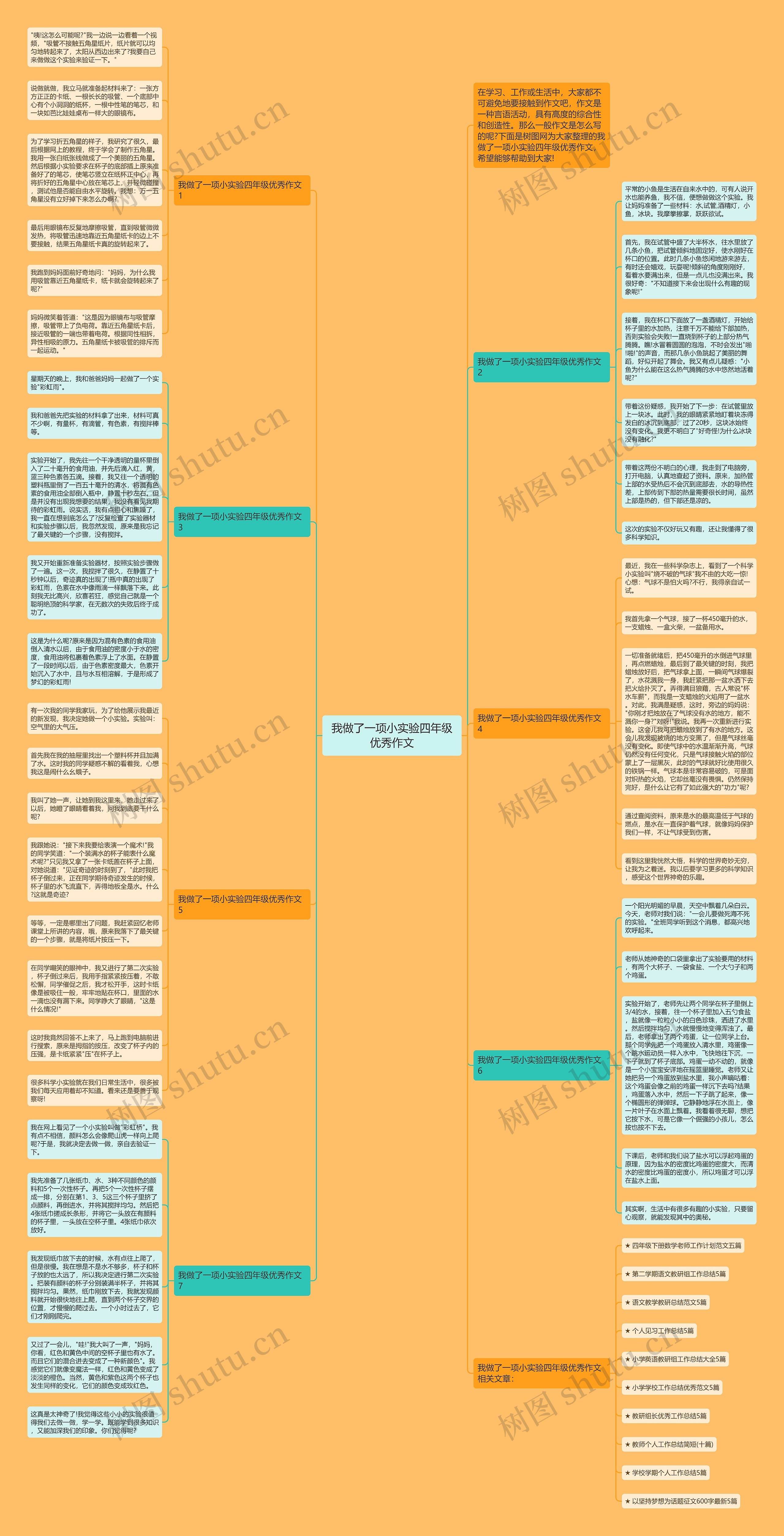我做了一项小实验四年级优秀作文思维导图