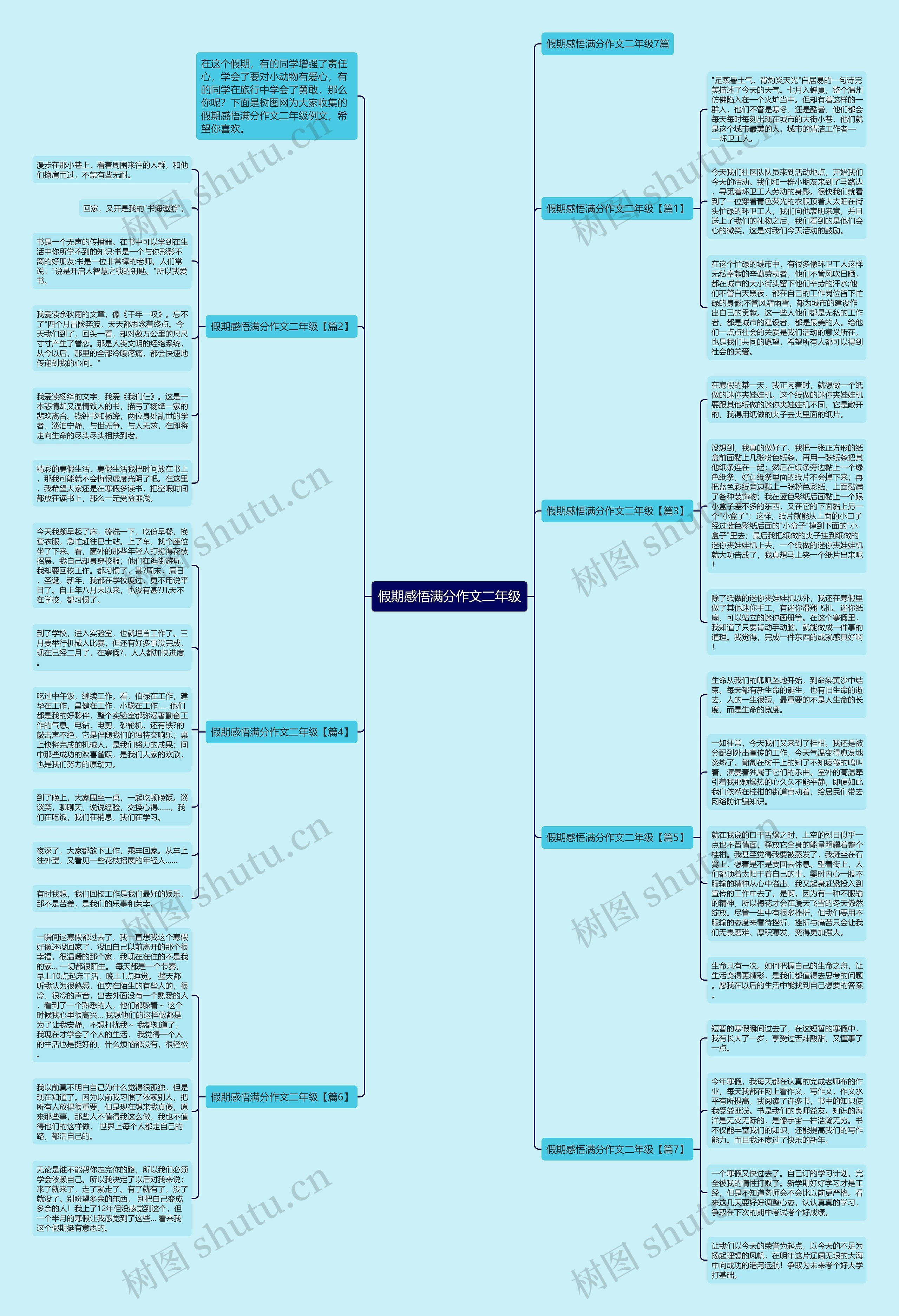 假期感悟满分作文二年级思维导图