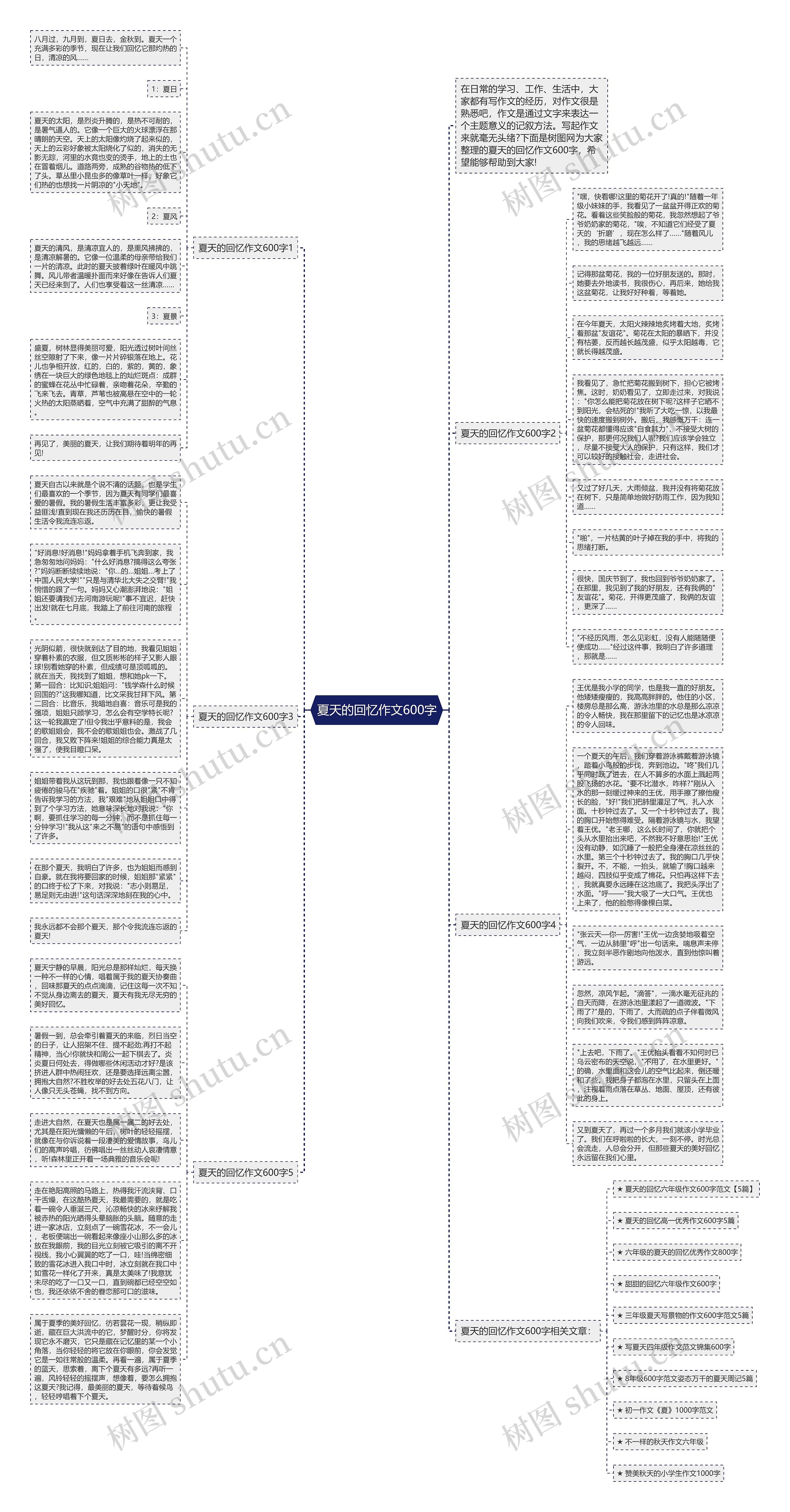 夏天的回忆作文600字思维导图