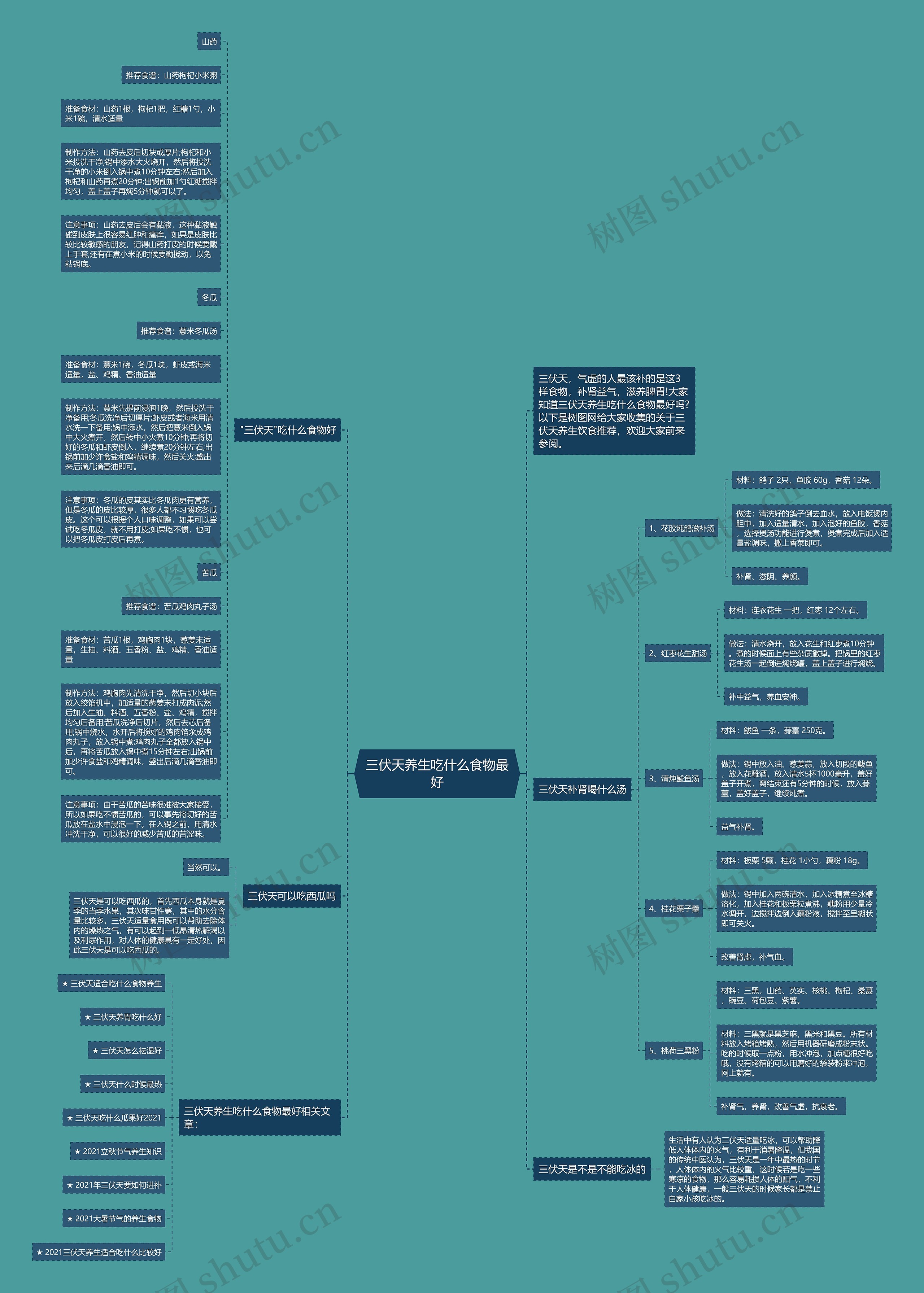 三伏天养生吃什么食物最好思维导图