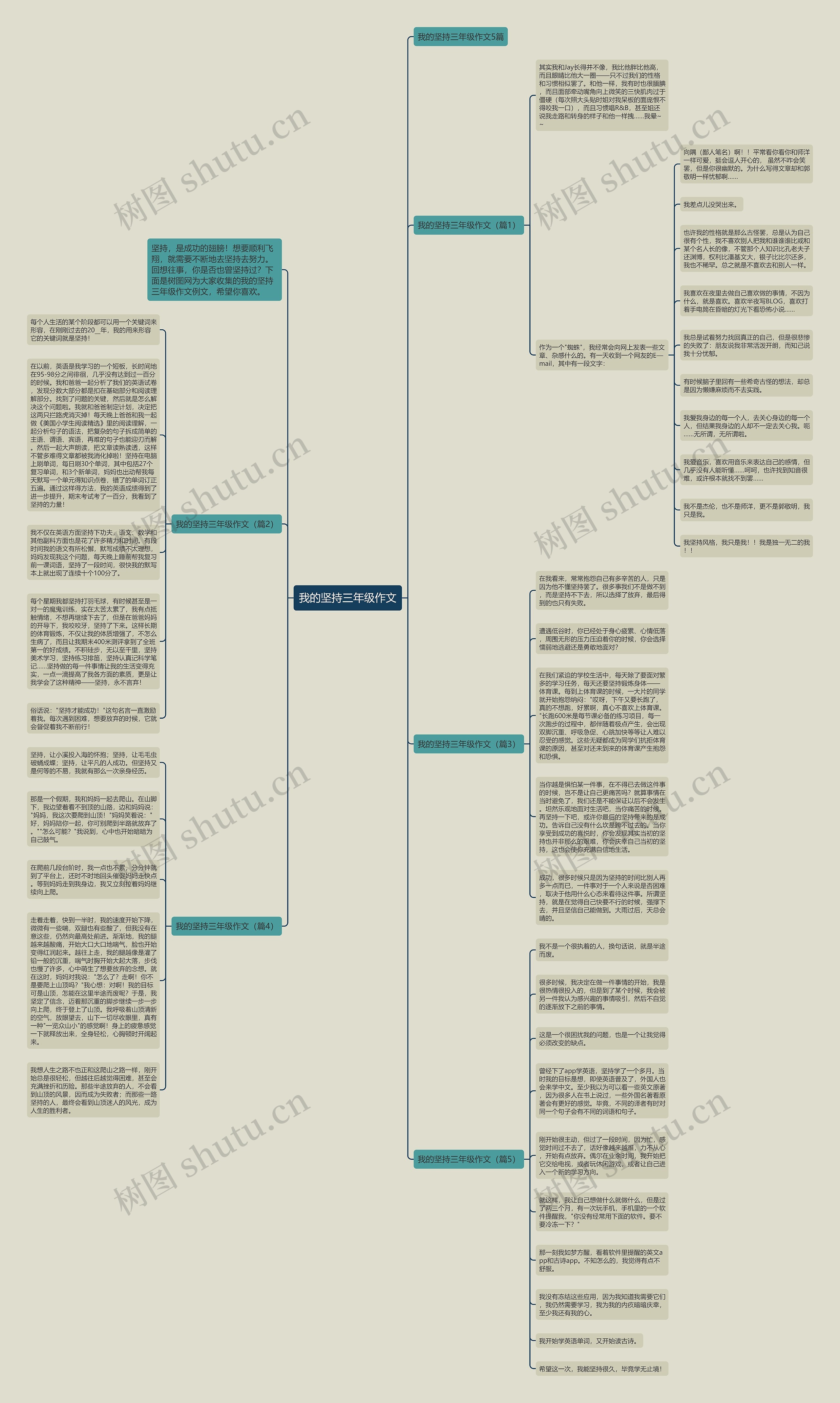 我的坚持三年级作文思维导图高清图 我的坚持三年级作文思维导图