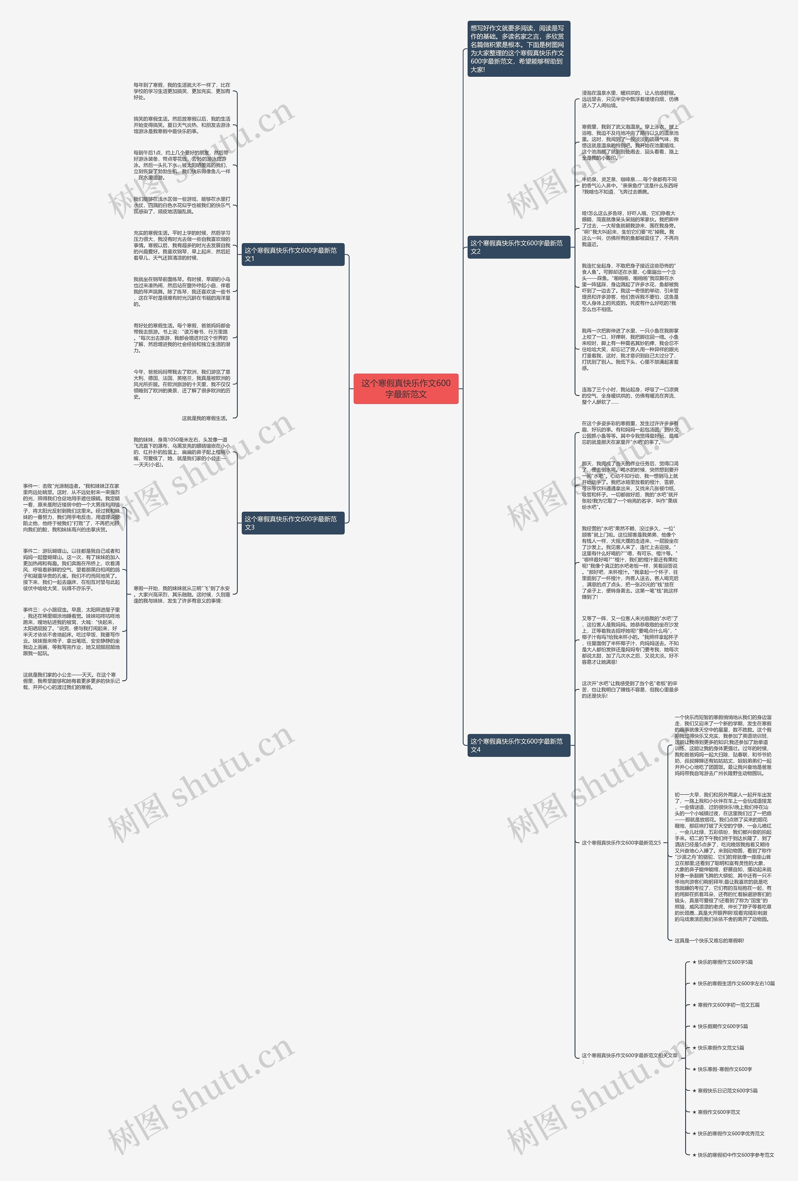 这个寒假真快乐作文600字最新范文思维导图