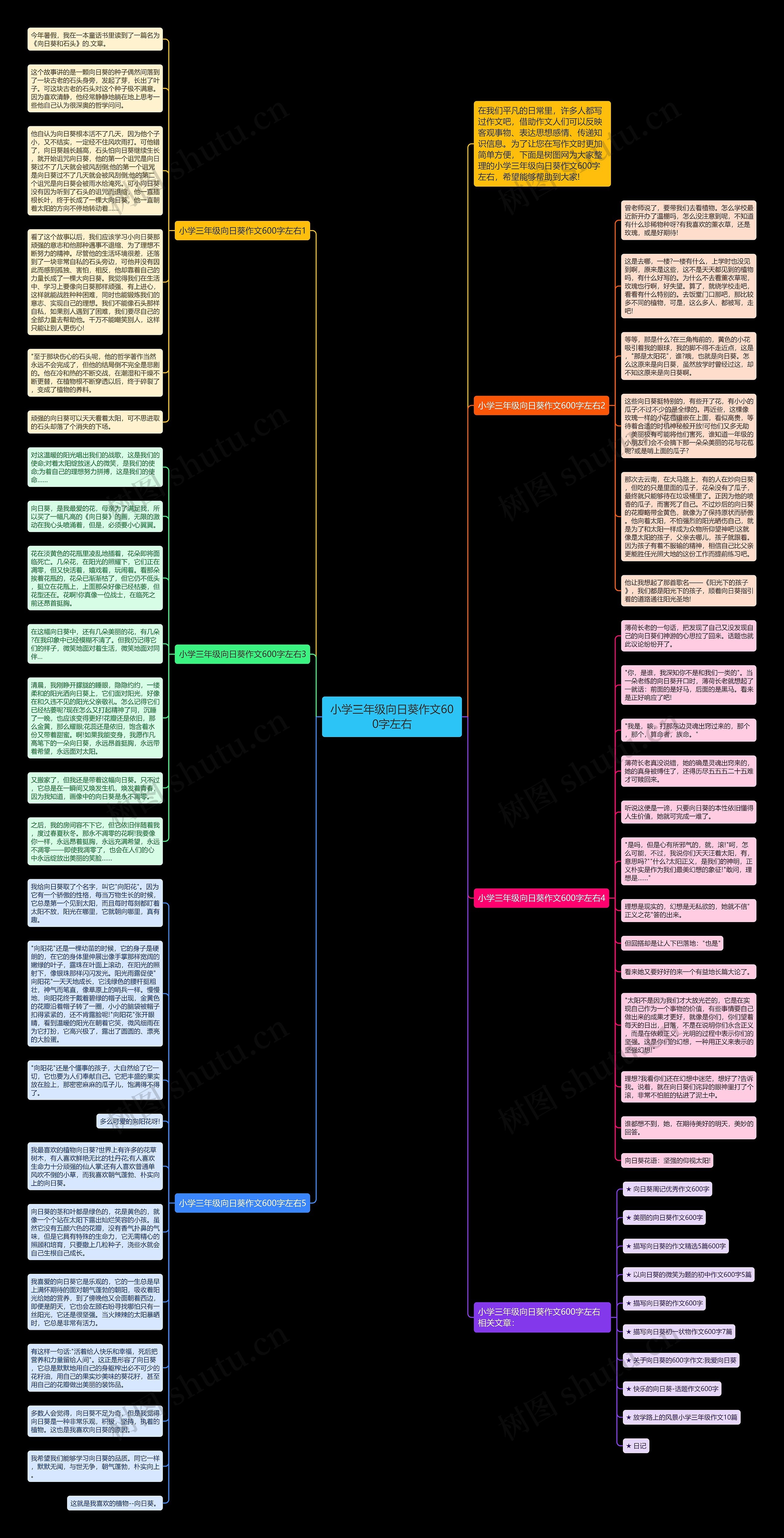 小学三年级向日葵作文600字左右思维导图