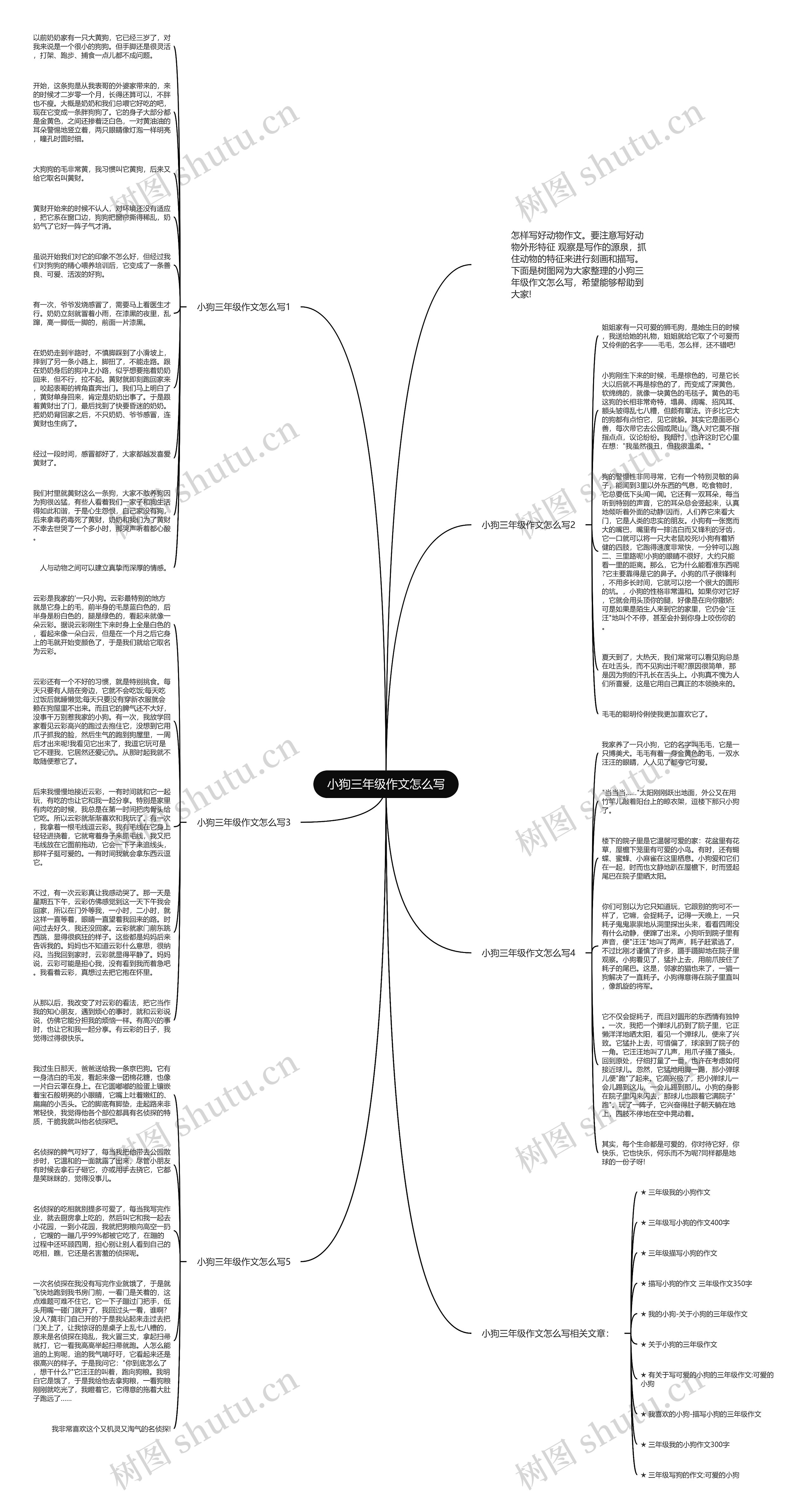 小狗三年级作文怎么写思维导图