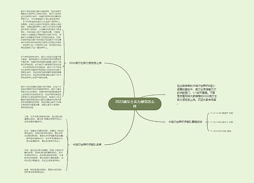 2022威尔士实力感觉怎么样