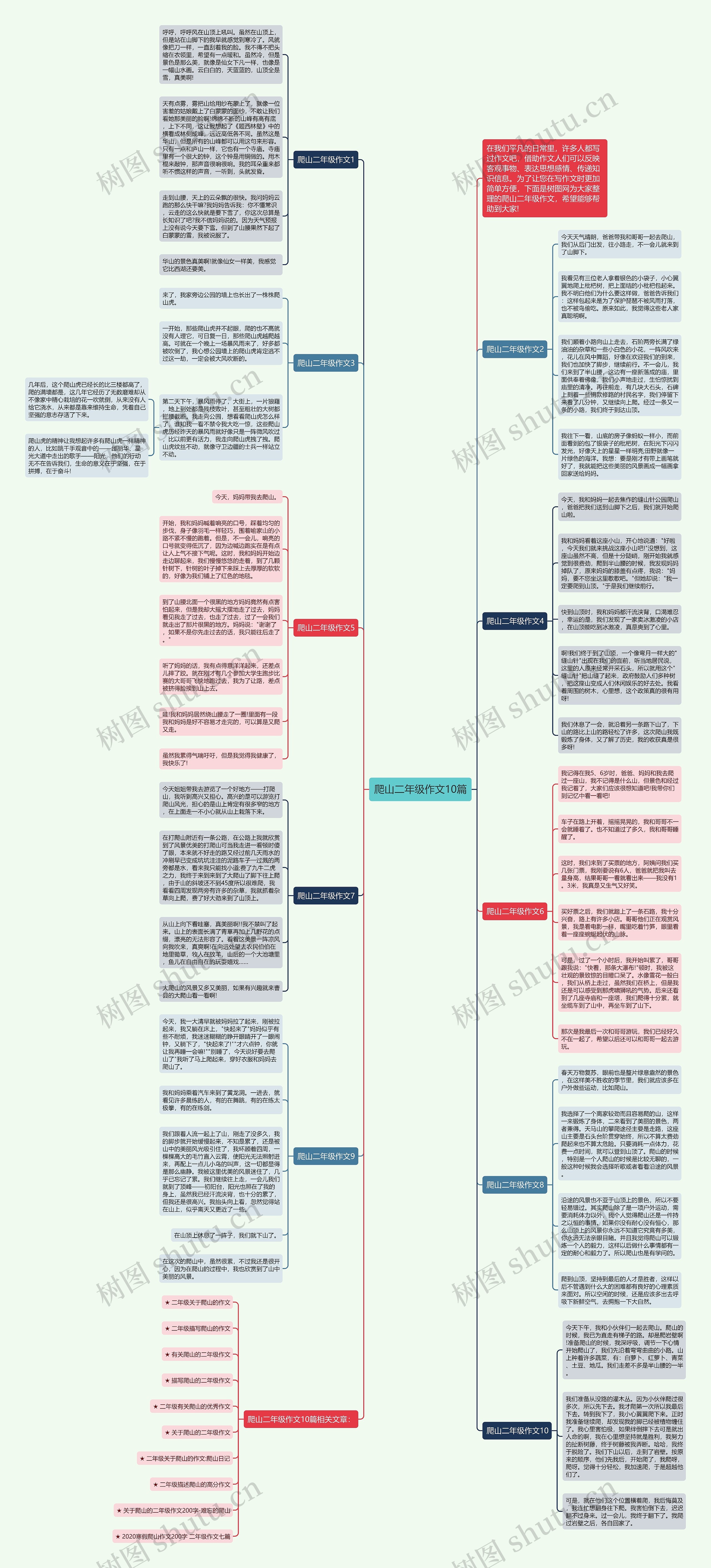 爬山二年级作文10篇思维导图