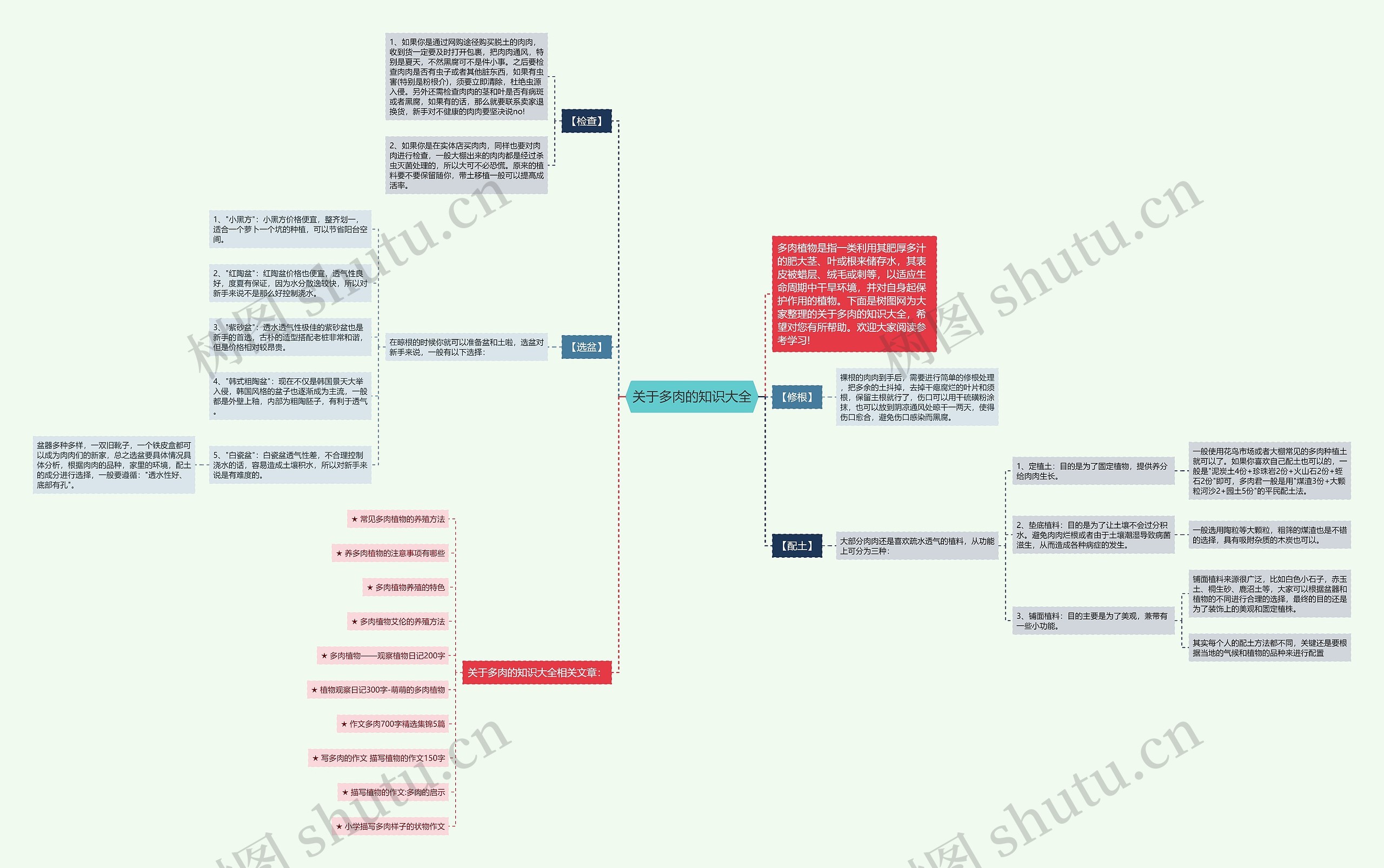 关于多肉的知识大全思维导图